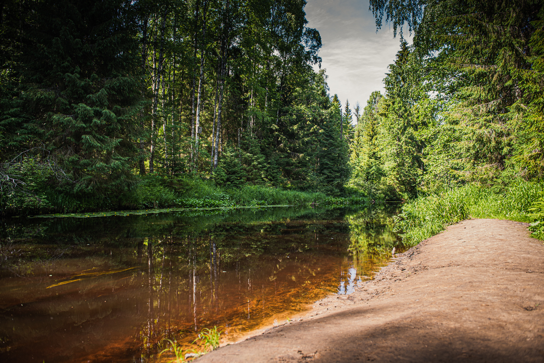 Линдуловская роща. Портретный и архитектурный фотограф в Москве и Санкт-Петербурге