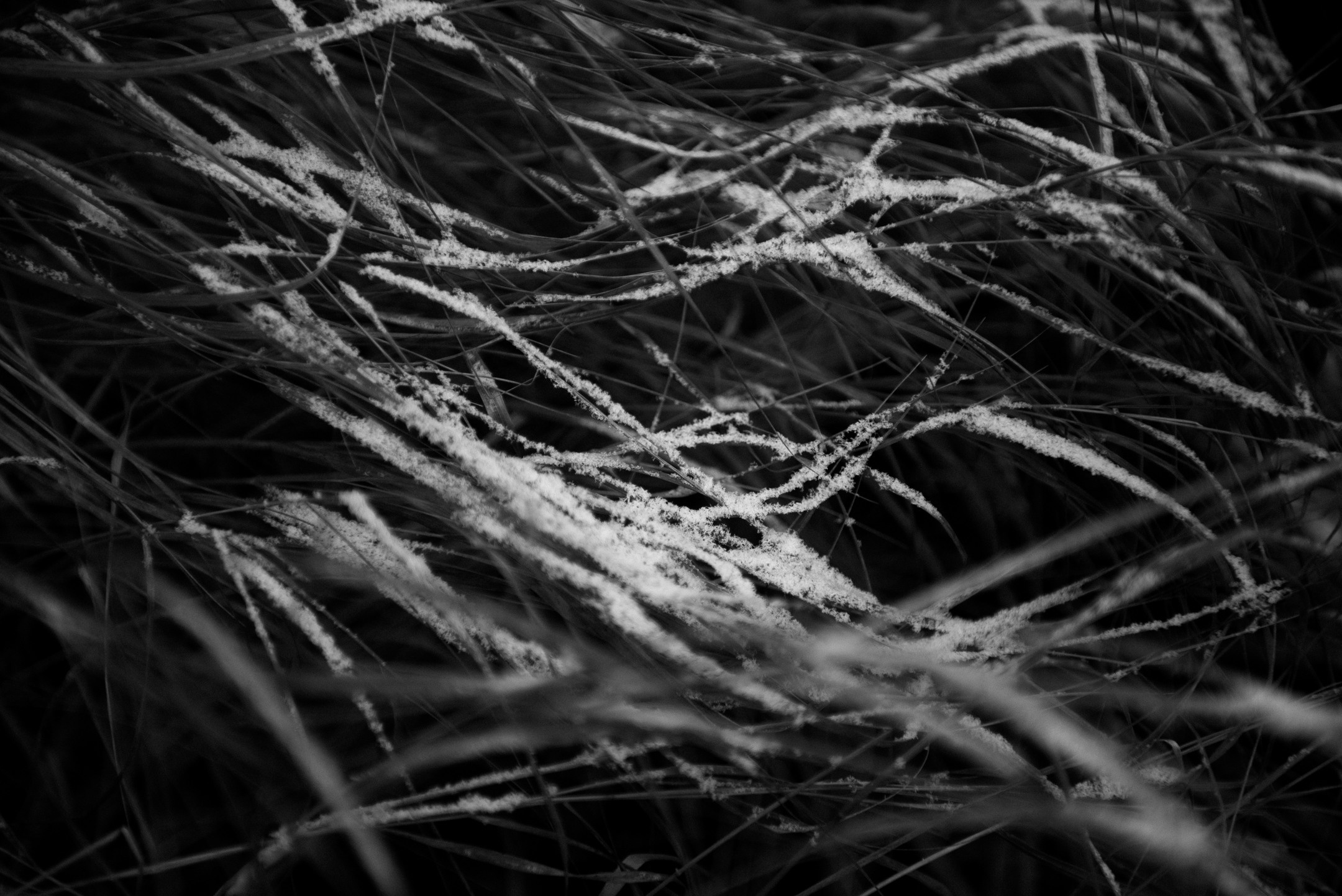 Дипломный проект «Баланс и равновесие». Портретный и архитектурный фотограф в Москве и Санкт-Петербурге