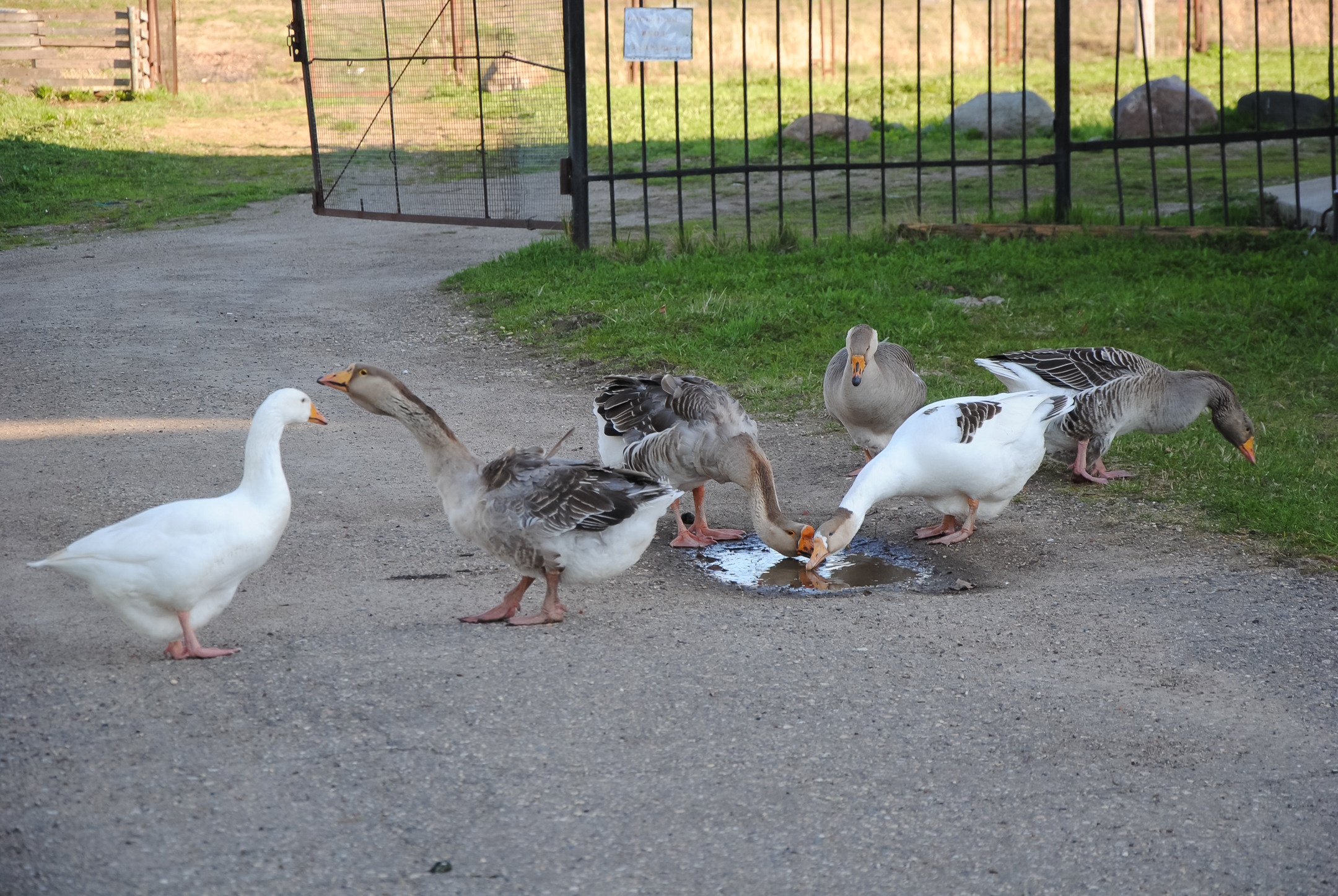 Ростов Великий. Портретный и архитектурный фотограф в Москве и Санкт-Петербурге