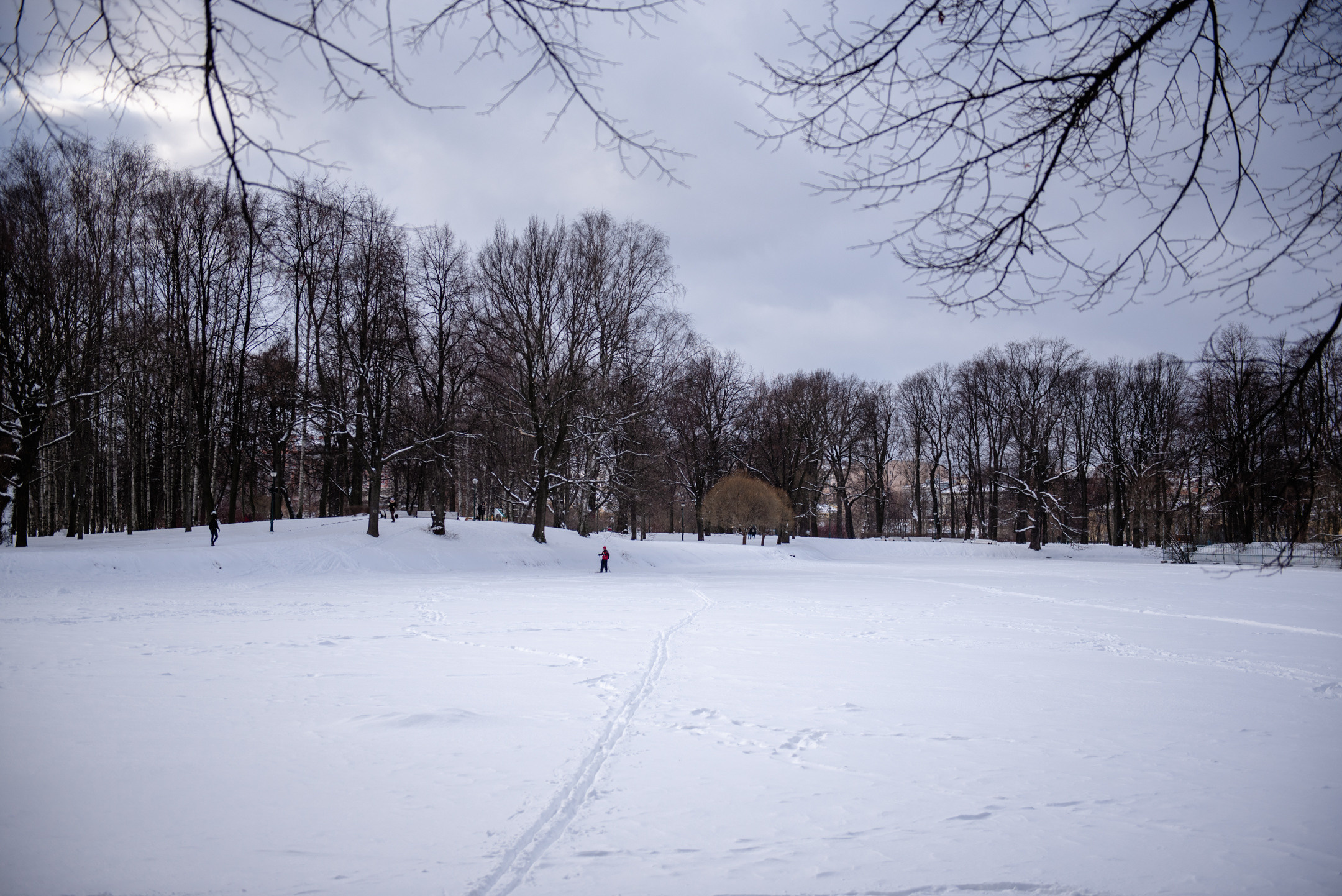 Таврический. Портретный и архитектурный фотограф в Москве и Санкт-Петербурге