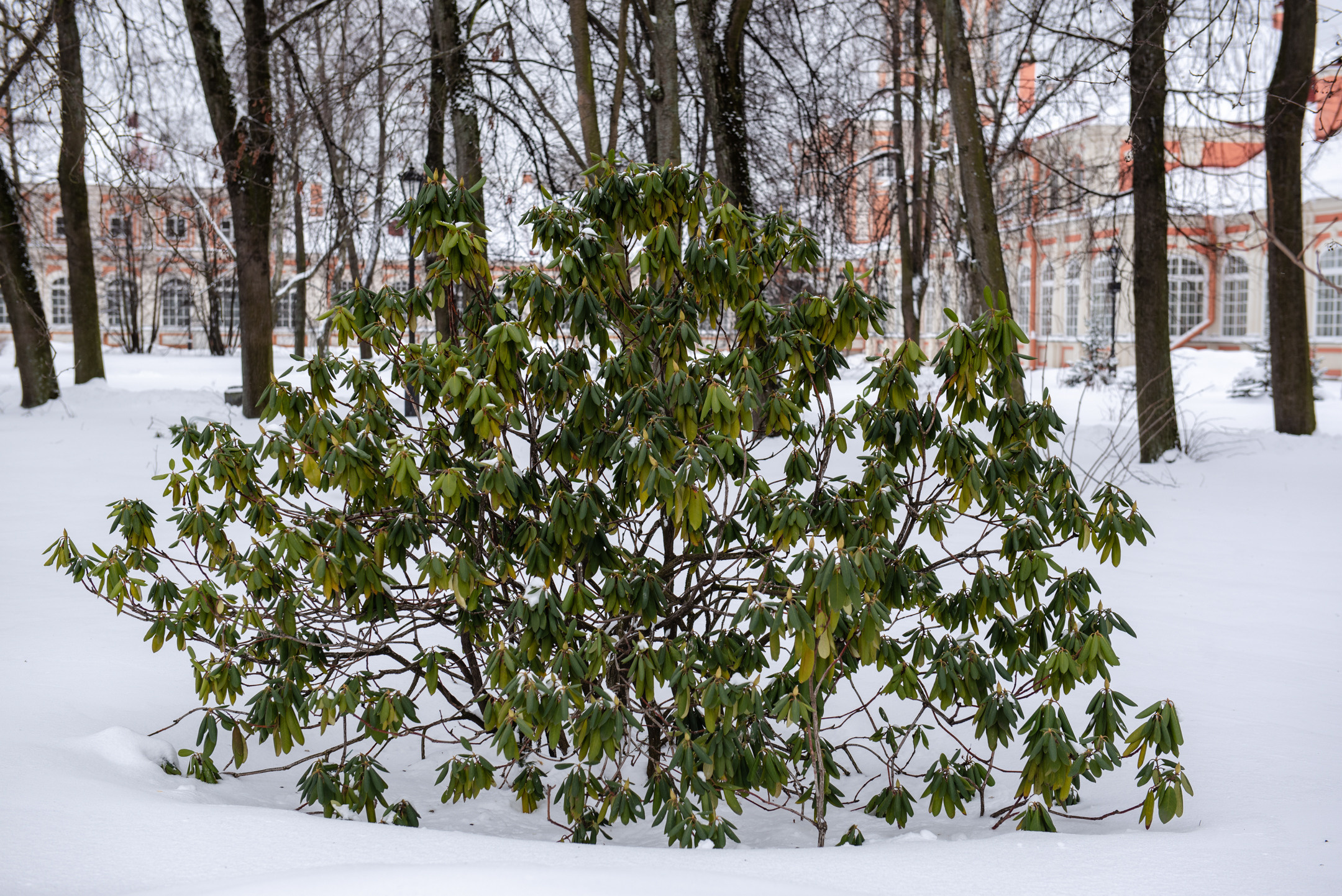 Лавра. Портретный и архитектурный фотограф в Москве и Санкт-Петербурге