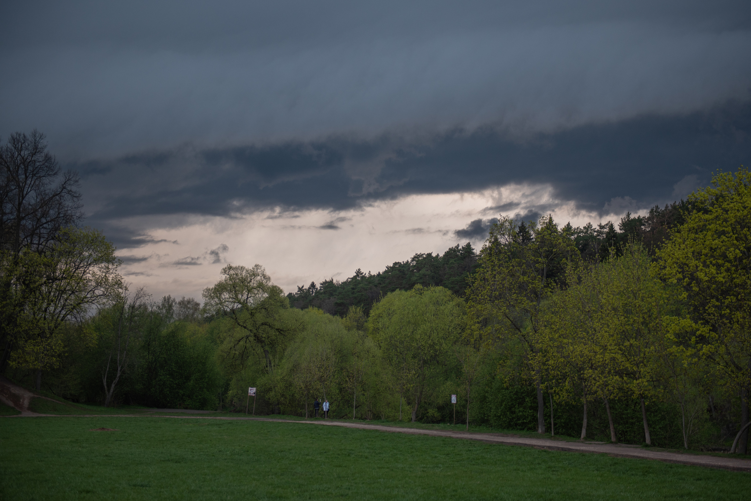 Дубровицы. Портретный и архитектурный фотограф в Москве и Санкт-Петербурге