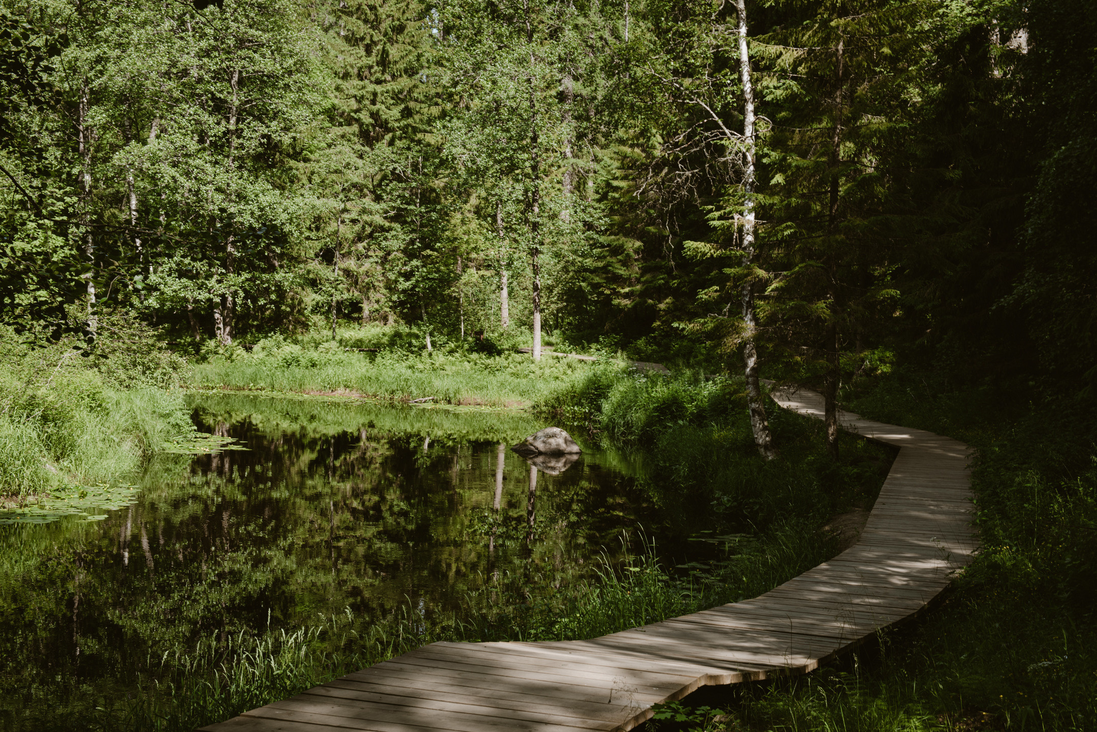 Линдуловская роща. Портретный и архитектурный фотограф в Москве и Санкт-Петербурге