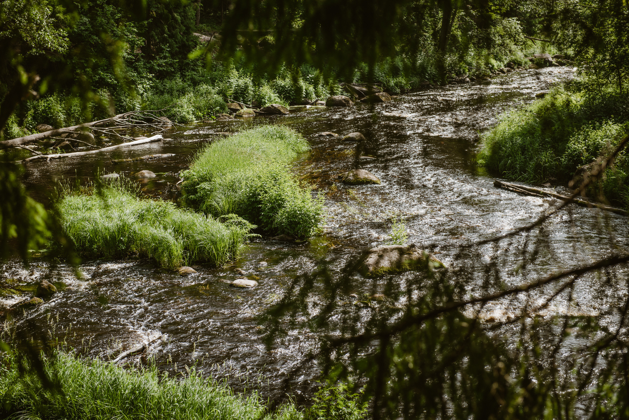Линдуловская роща. Портретный и архитектурный фотограф в Москве и Санкт-Петербурге