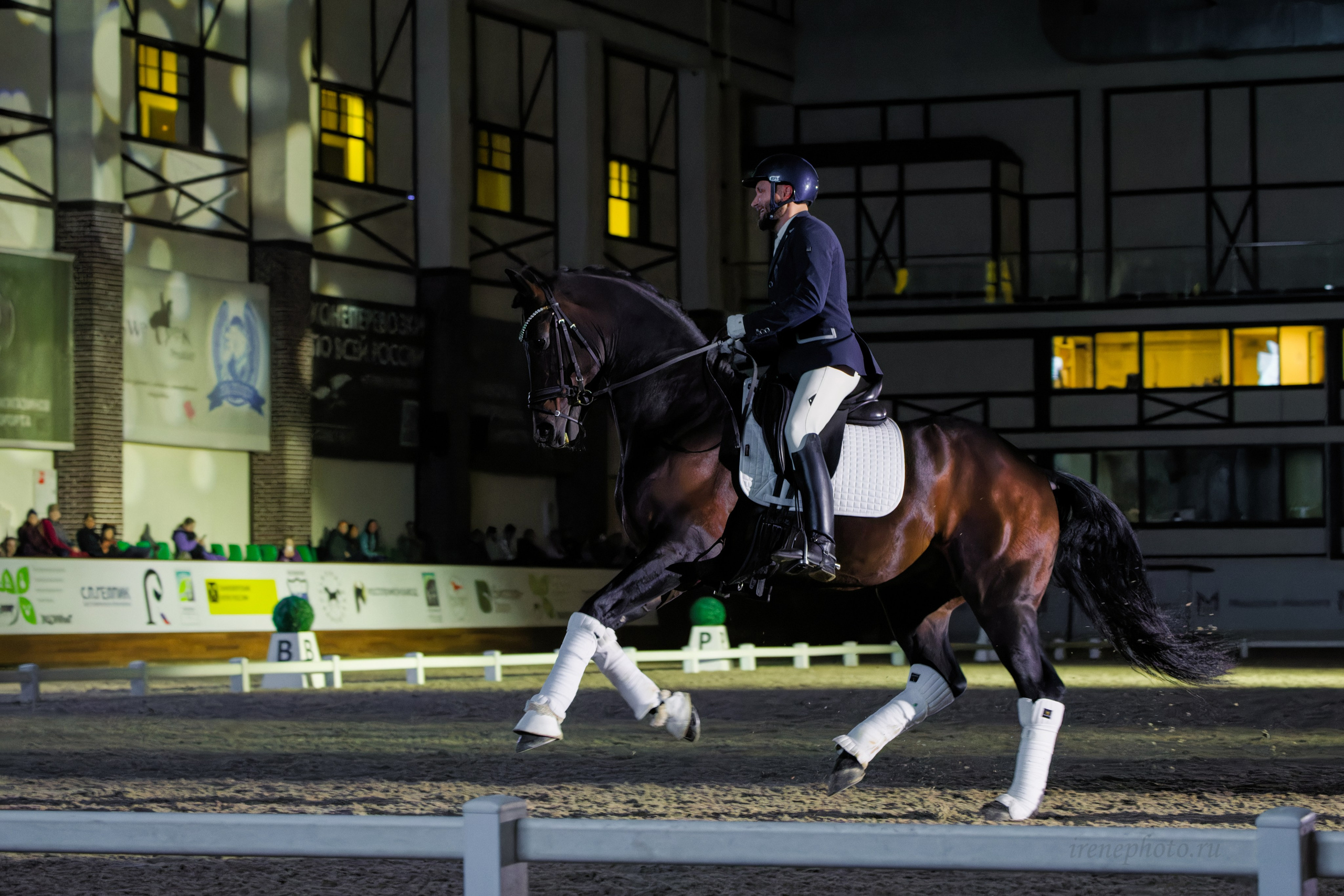 Конная Россия 2024. Irenephoto.ru