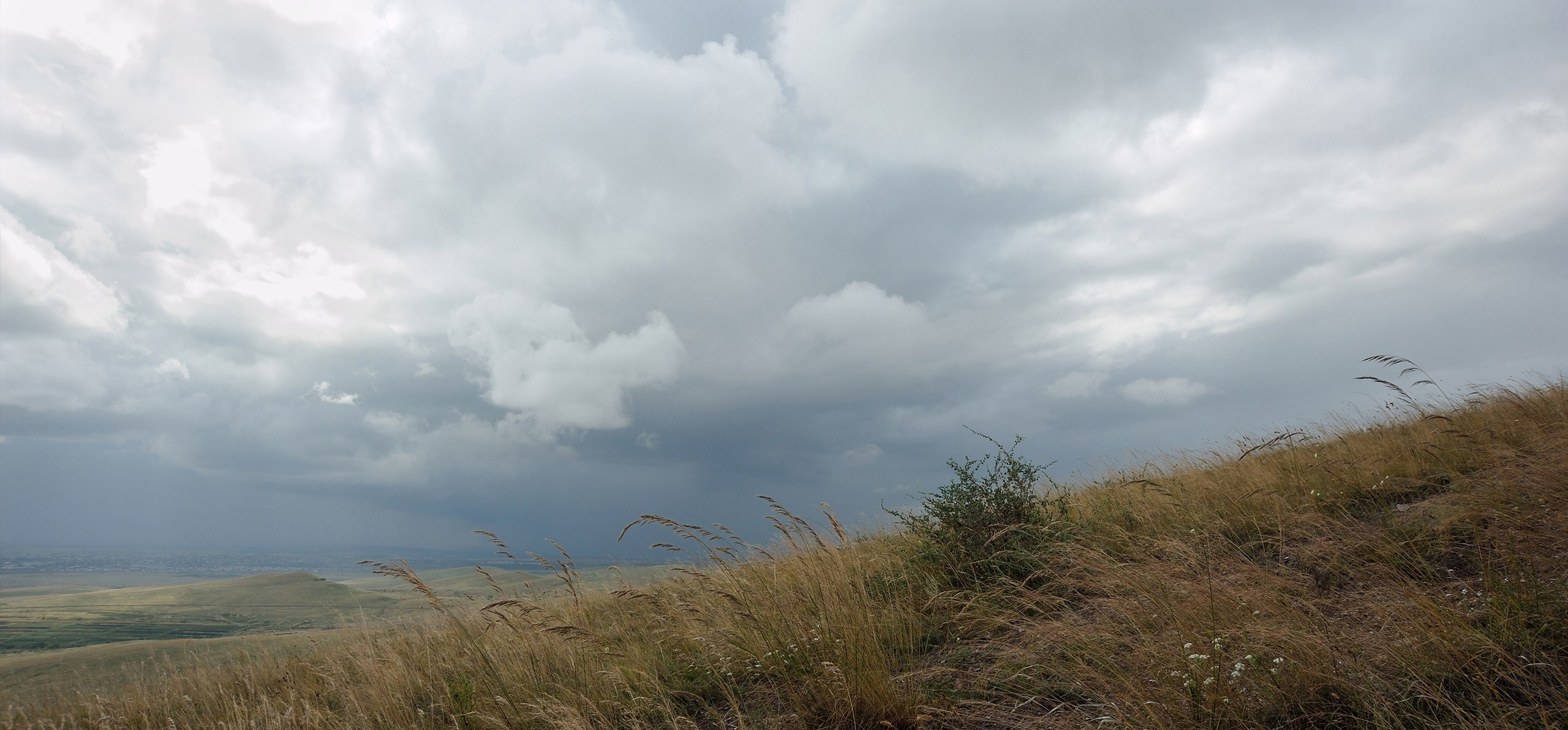 Хакасия цвет. Катерина Михеева