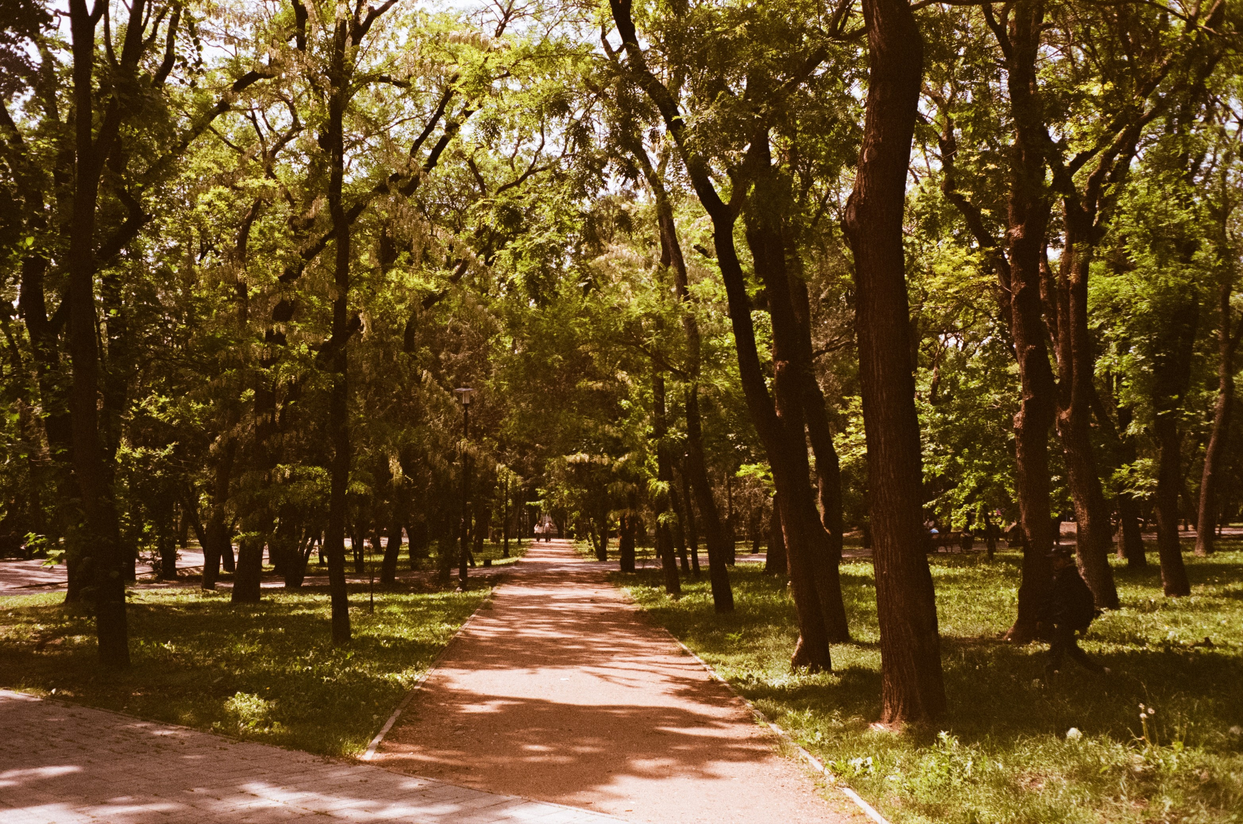 Ессентуки / 4 мая 2024 года / Minox 35GT / Konica VS Super 200