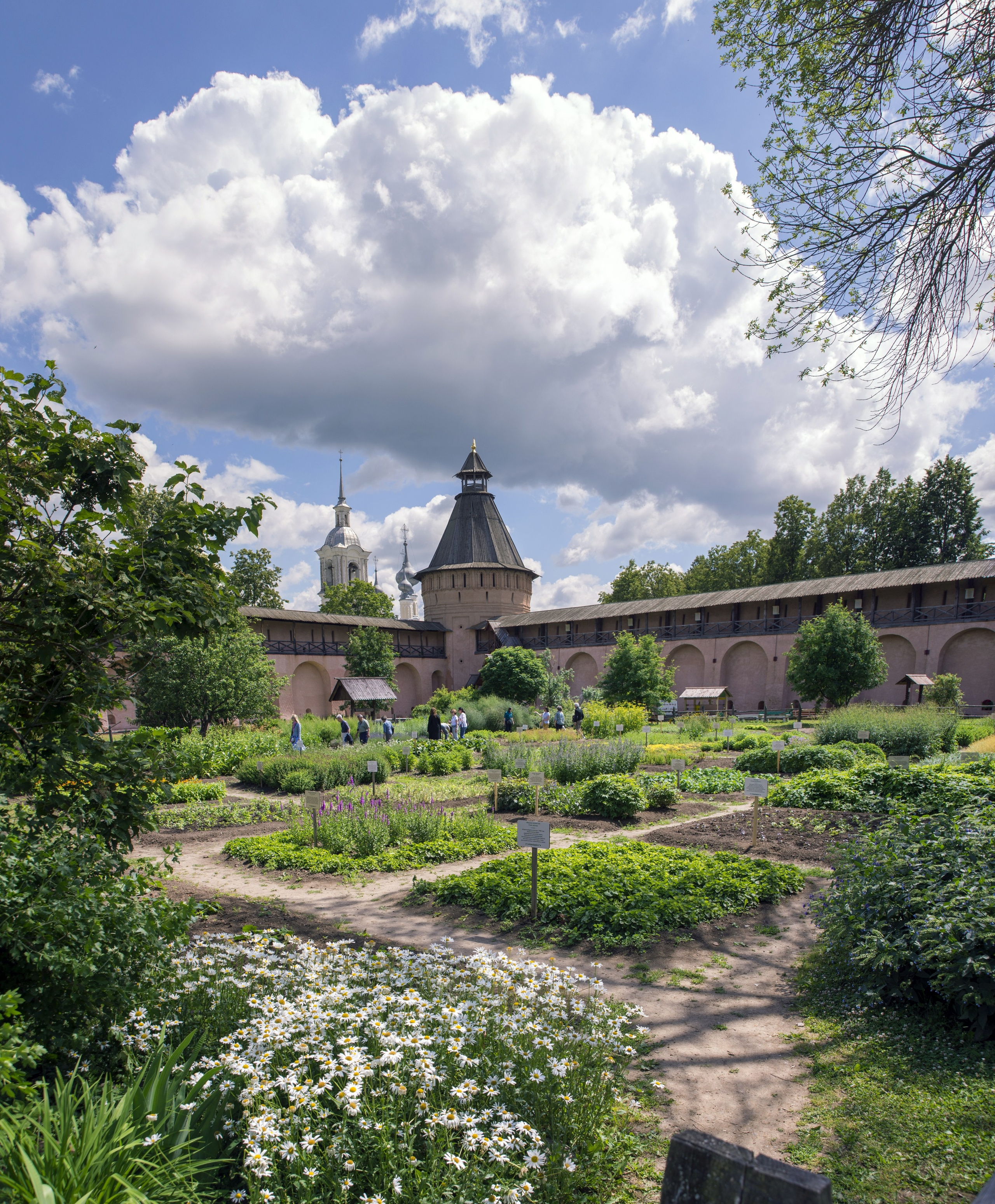 Суздаль. Июнь 2019. Игорь Жучков. Россия увиденная глазами путешествующего фотографа