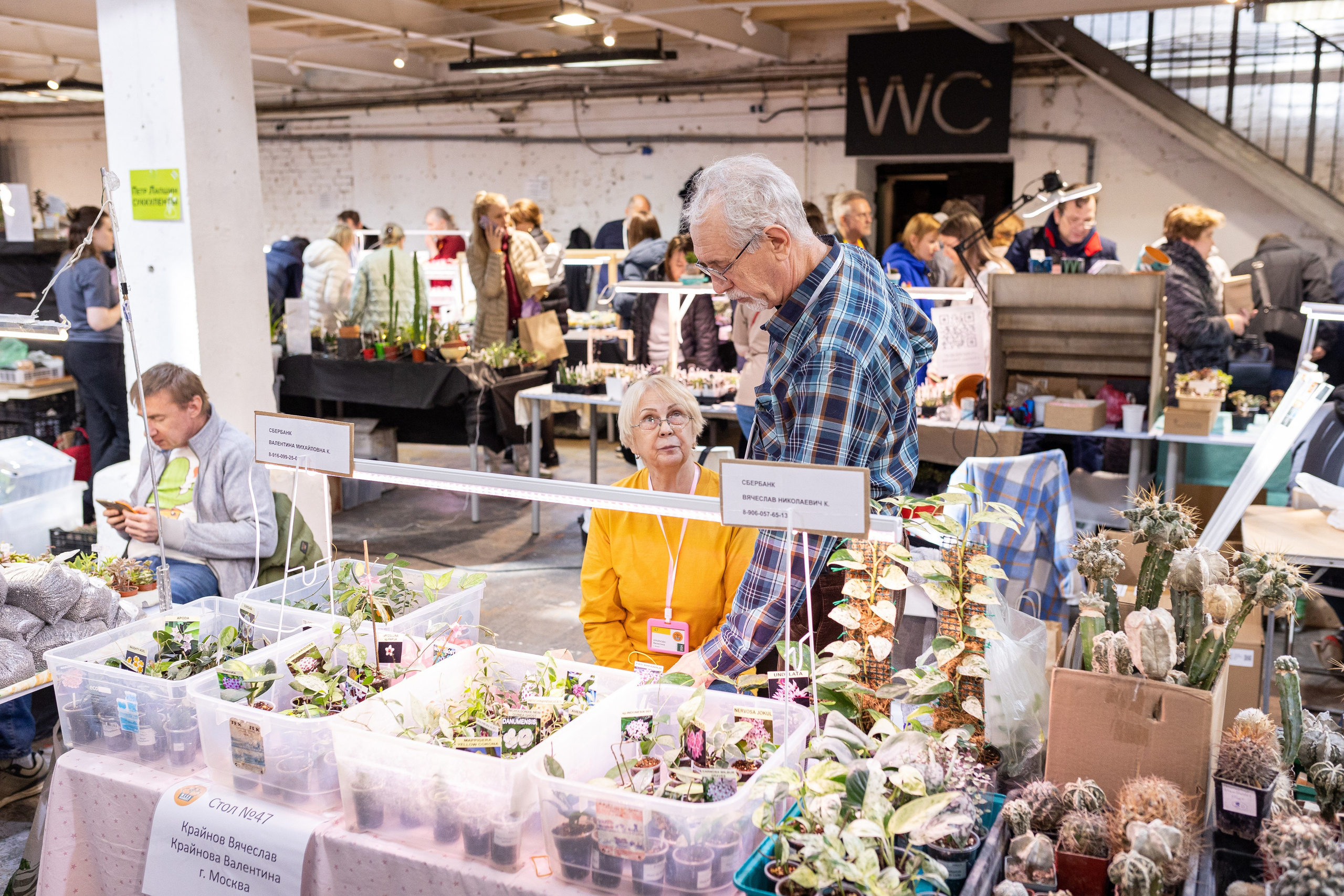 Meza market 2024. Александра Куликова фотограф, Москва
