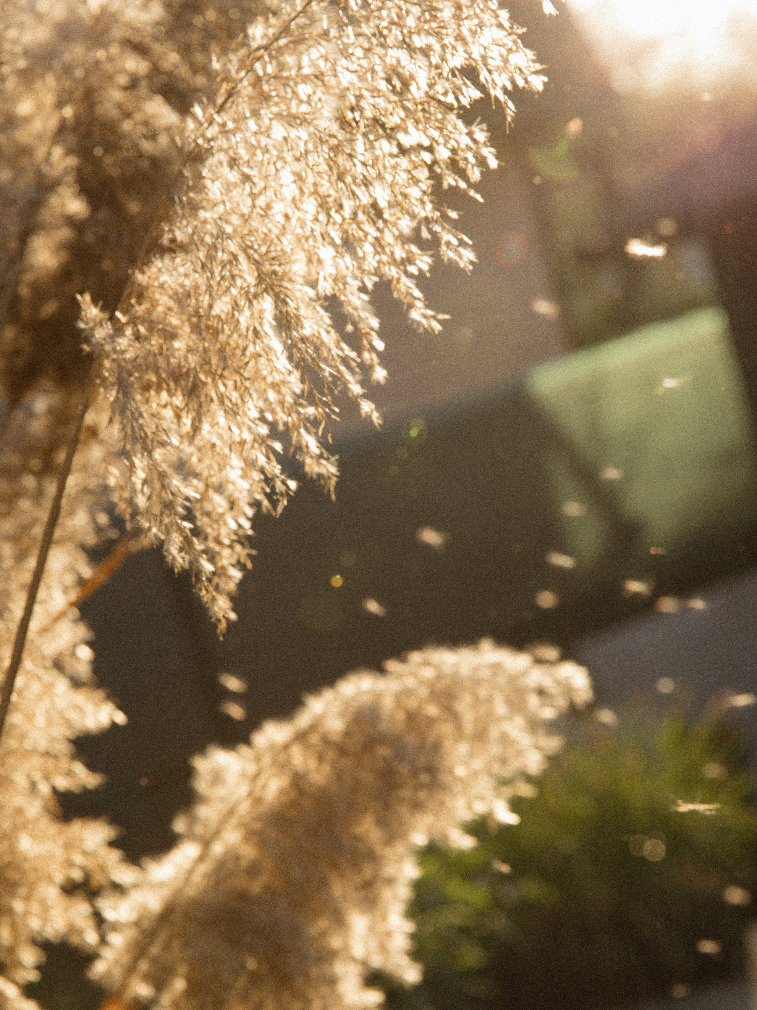 Анонс Wedding day Андрей и Анастасия. Свадебный фотограф Колесников Антон