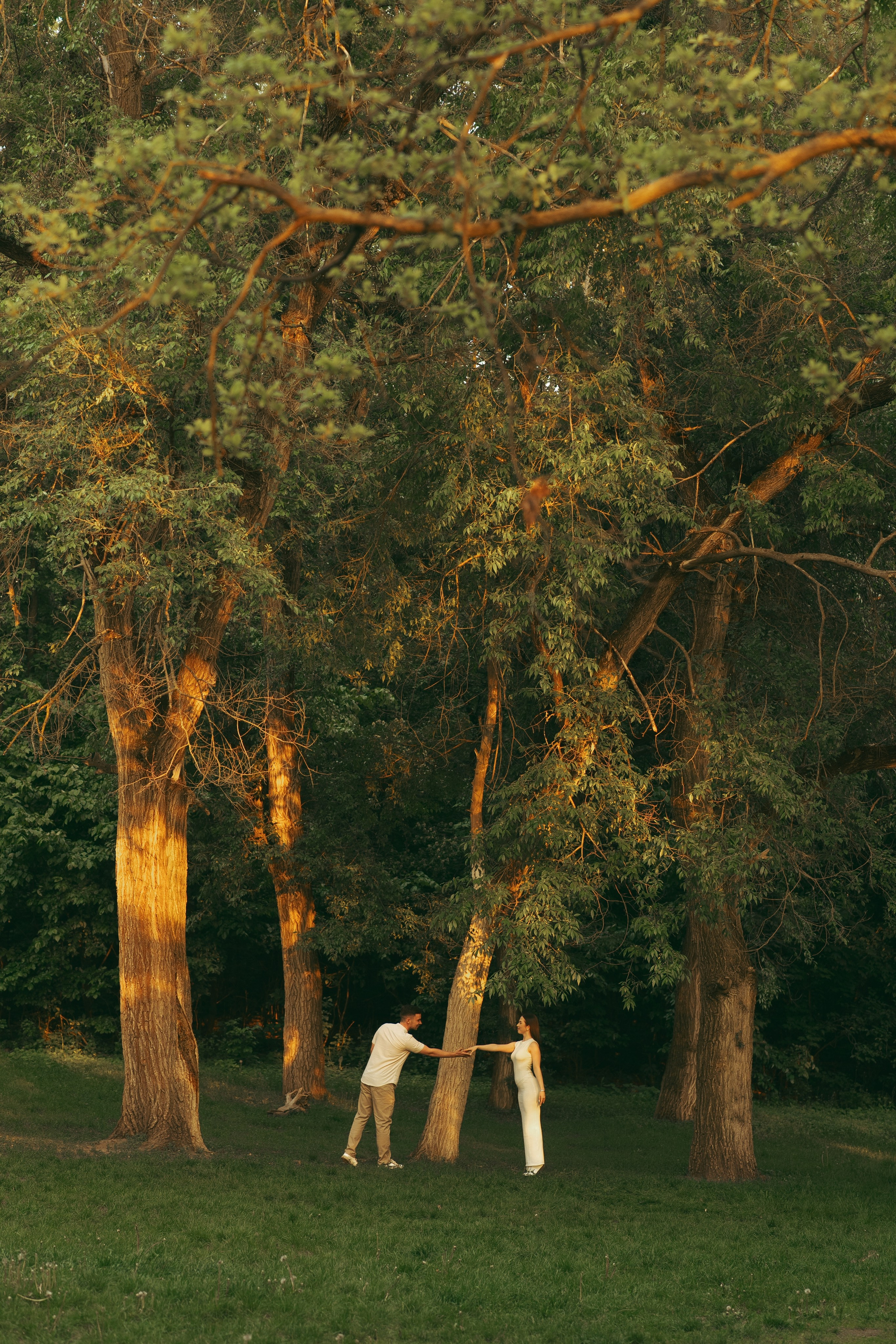 Парк Динамо. Фотограф Мария Зайчик