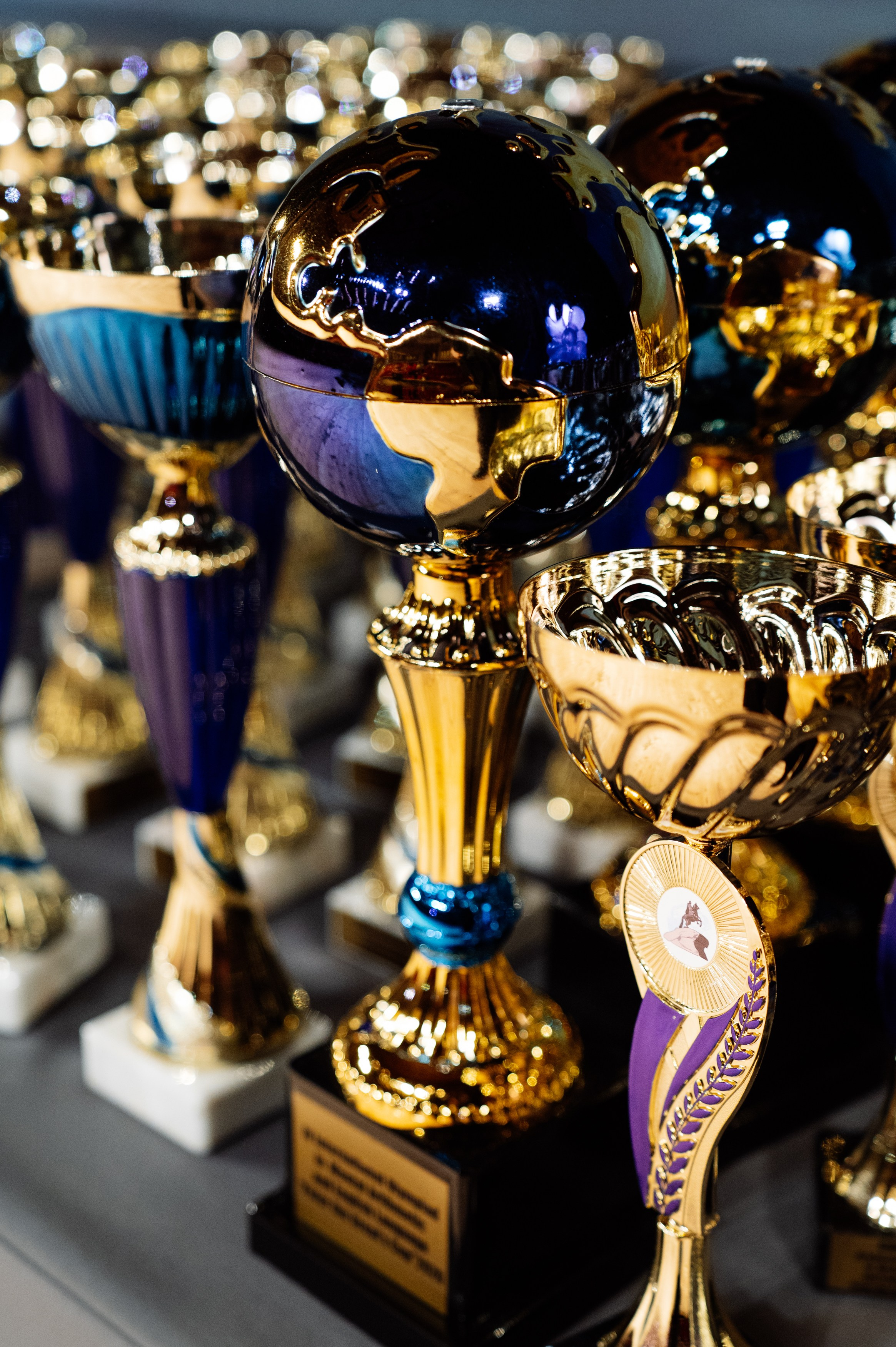 Награждение в Чаплин холле. Мария Плетинская фотограф в Санкт-Петербурге