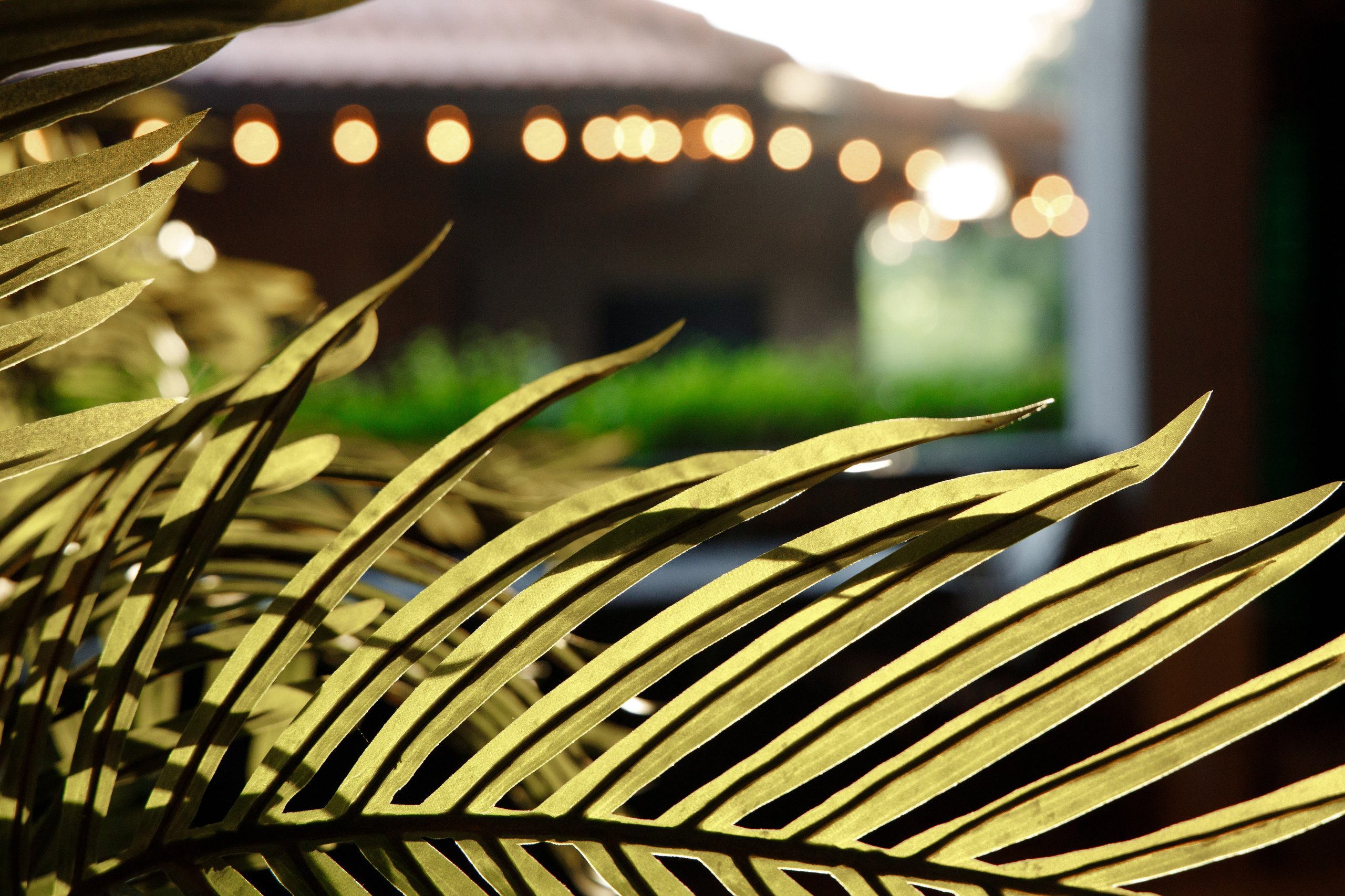 Татьяна и Сергей. Фотограф Новороссийск