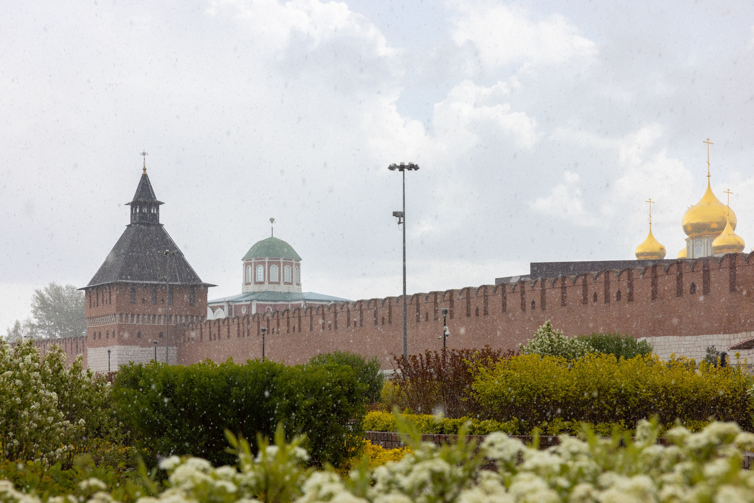 Весеннее цветение в Туле. Фотограф в Туле Крупский АнДРей. Фотостудия «КАДР71» в Туле