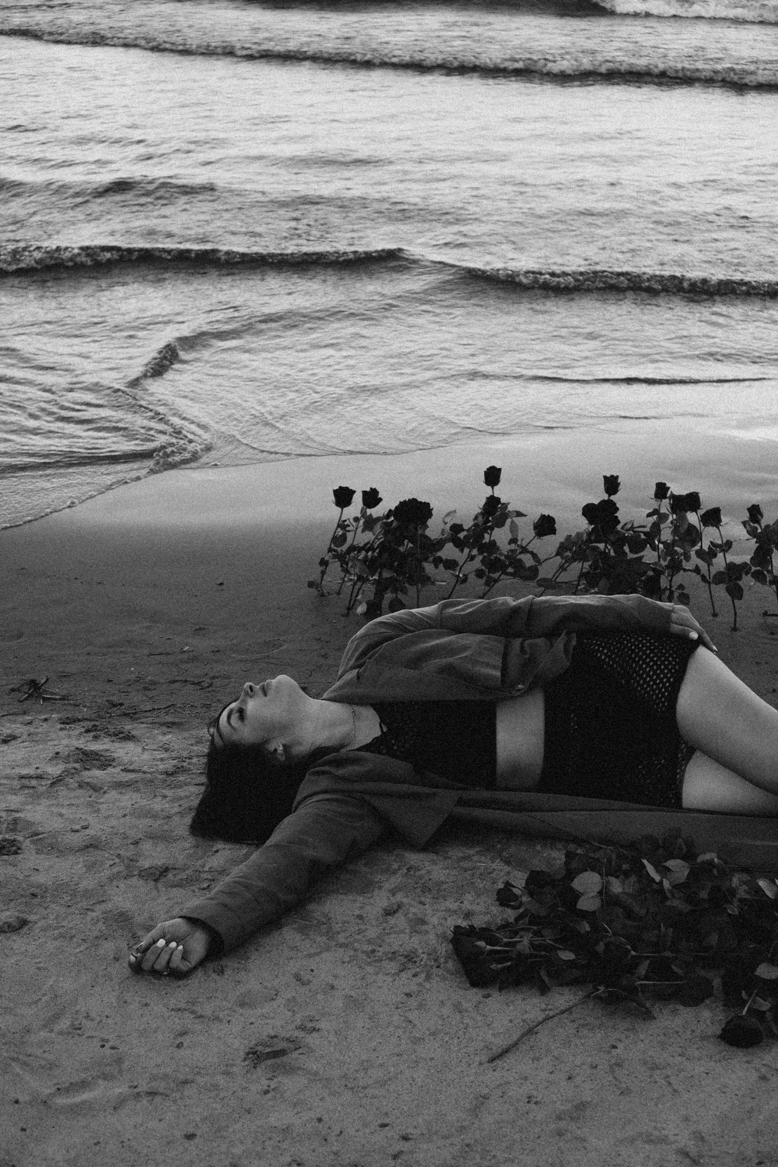 Розы. Профессиональный фотограф, Санкт-Петербург — Виктория Богомолова