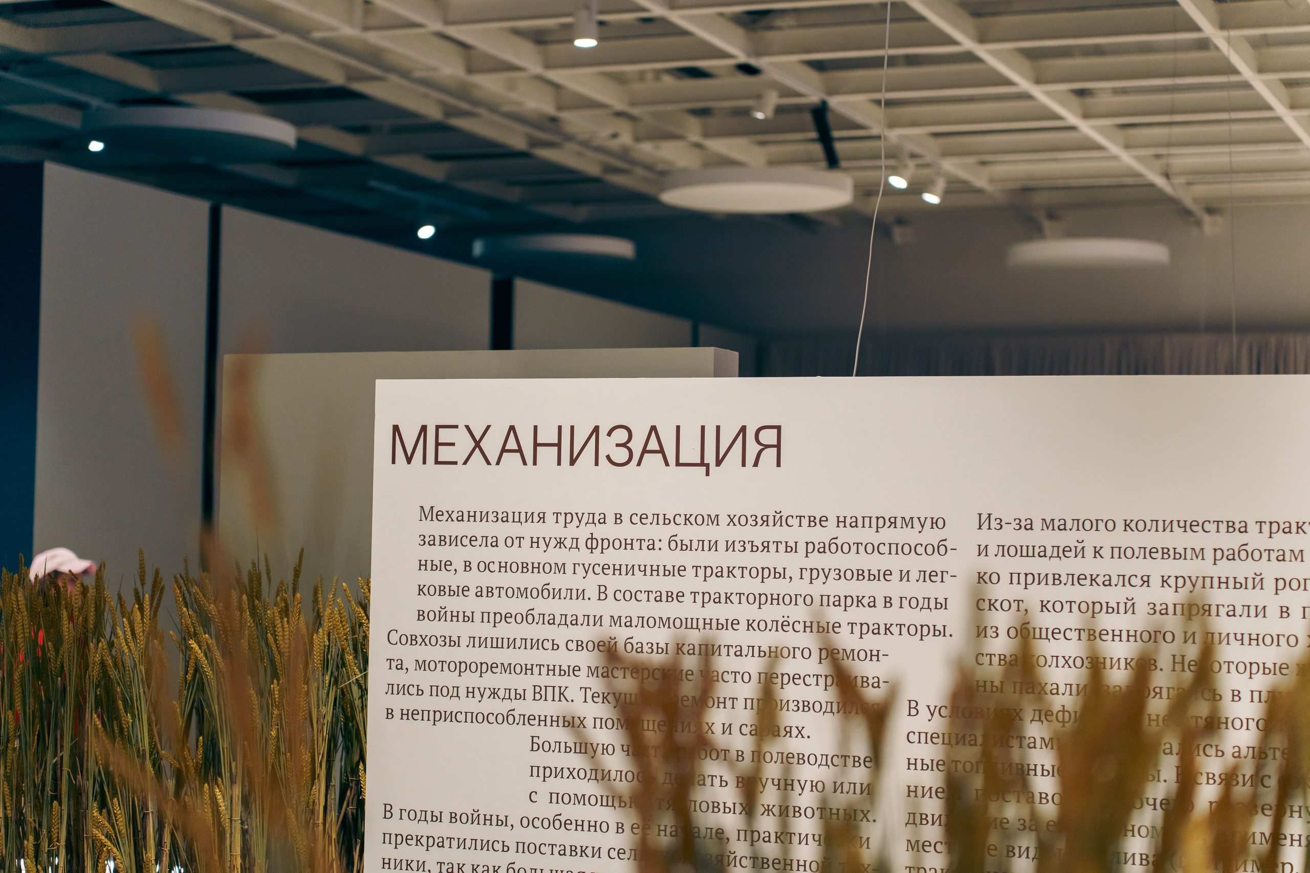 Выставка Великая страна — великая победа. Фотограф в Санкт-Петербурге Ибрагимова Алина