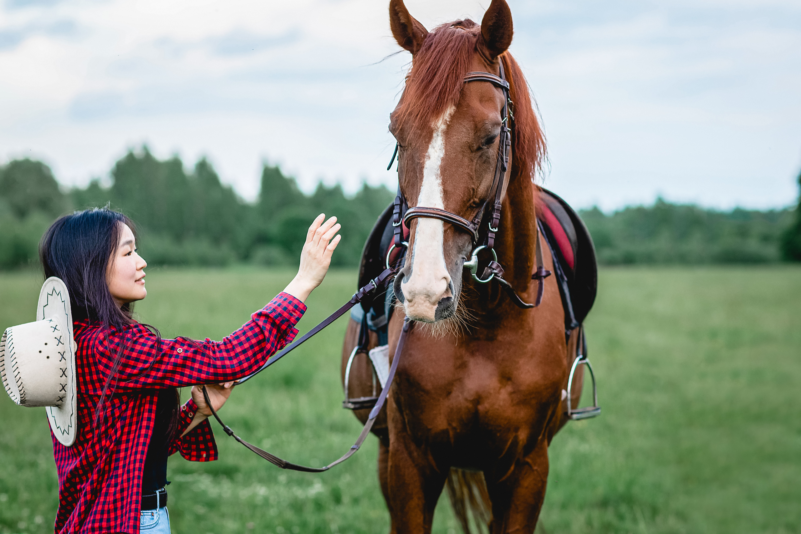 Алина. Свадебный и портретный фотограф