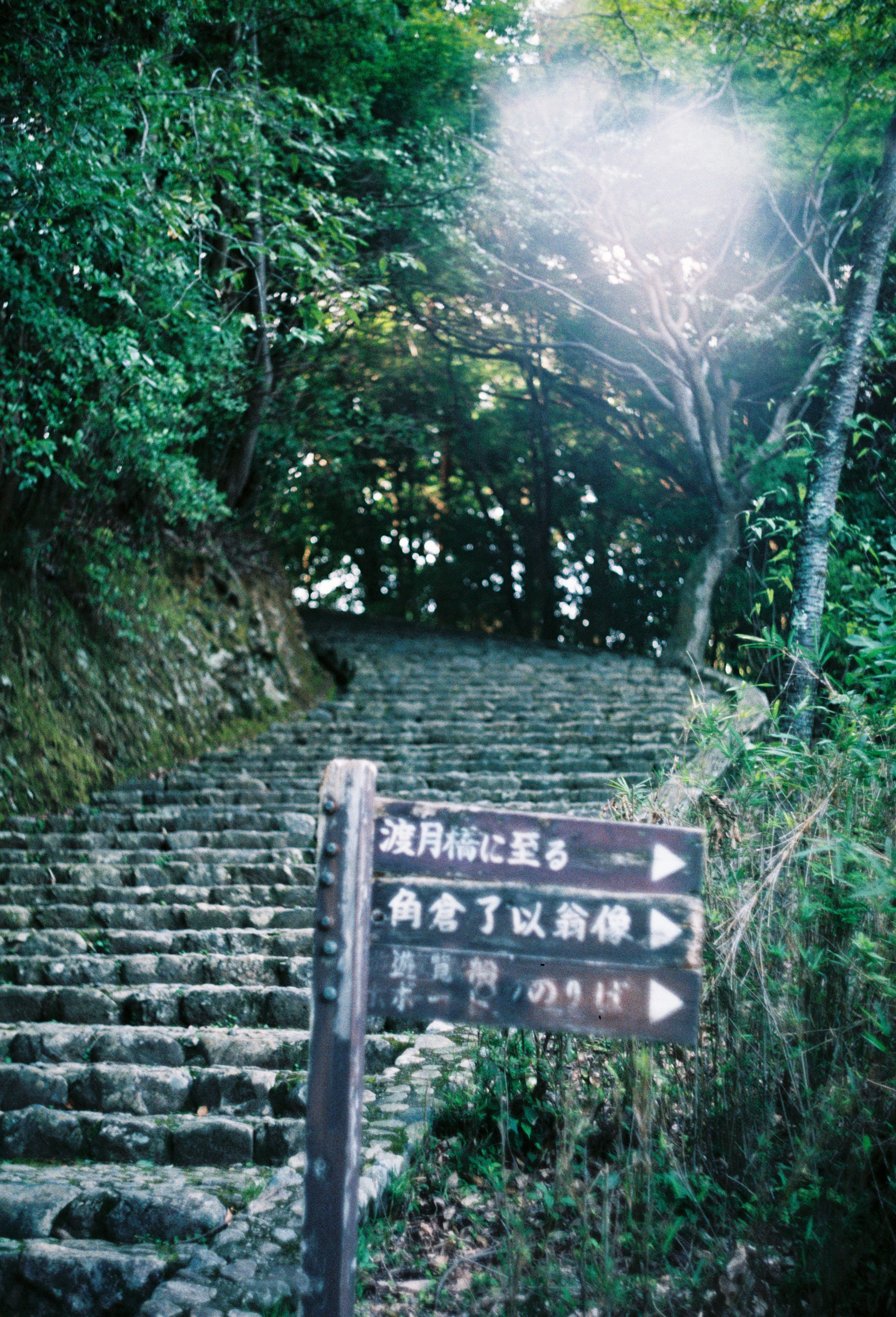 Street/Стрит. VladGauss | Photographer/Videographer