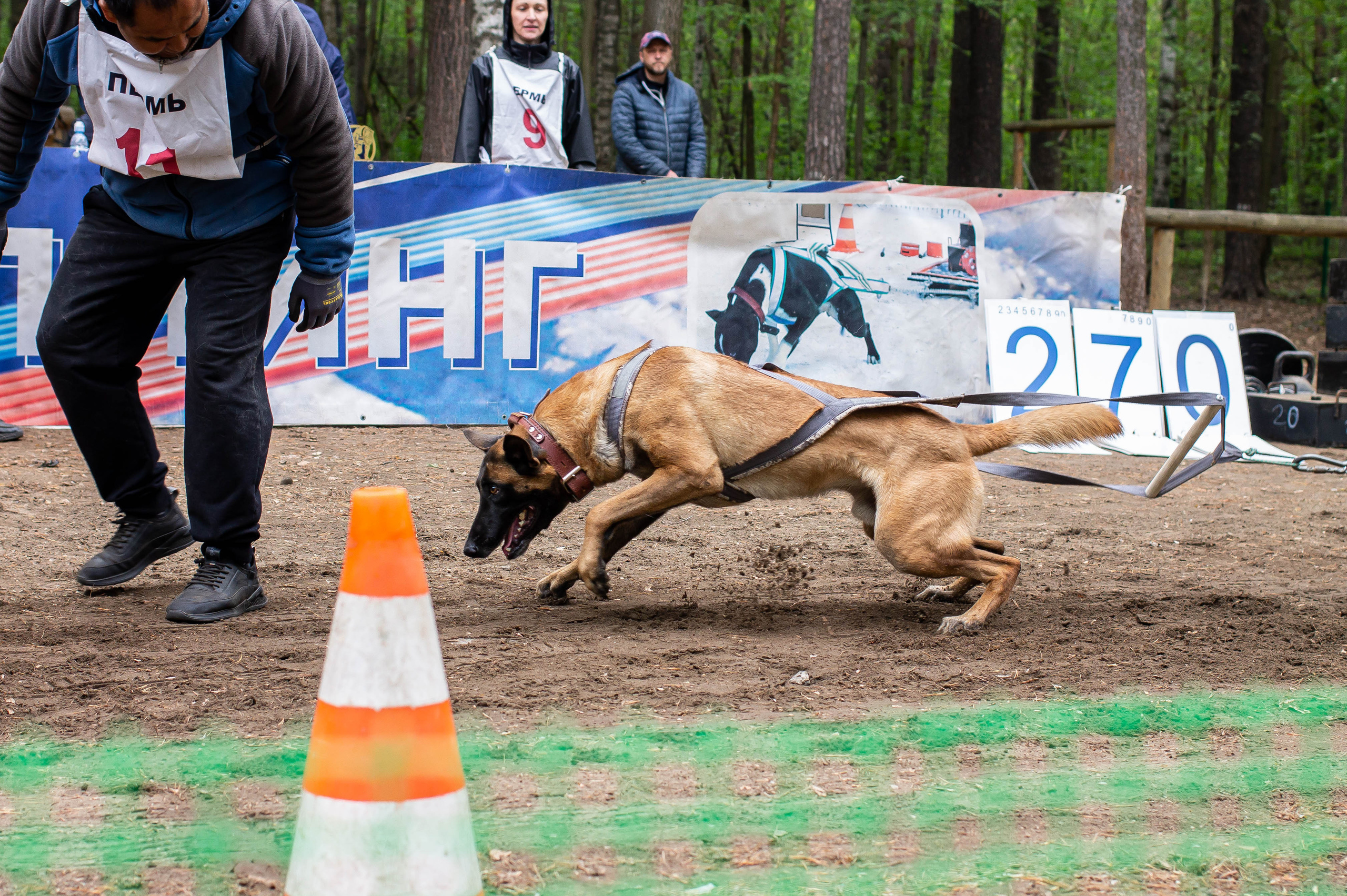 Репортаж вейтпуллинг. Фотограф Анималист в Перми Анастасия Остерман