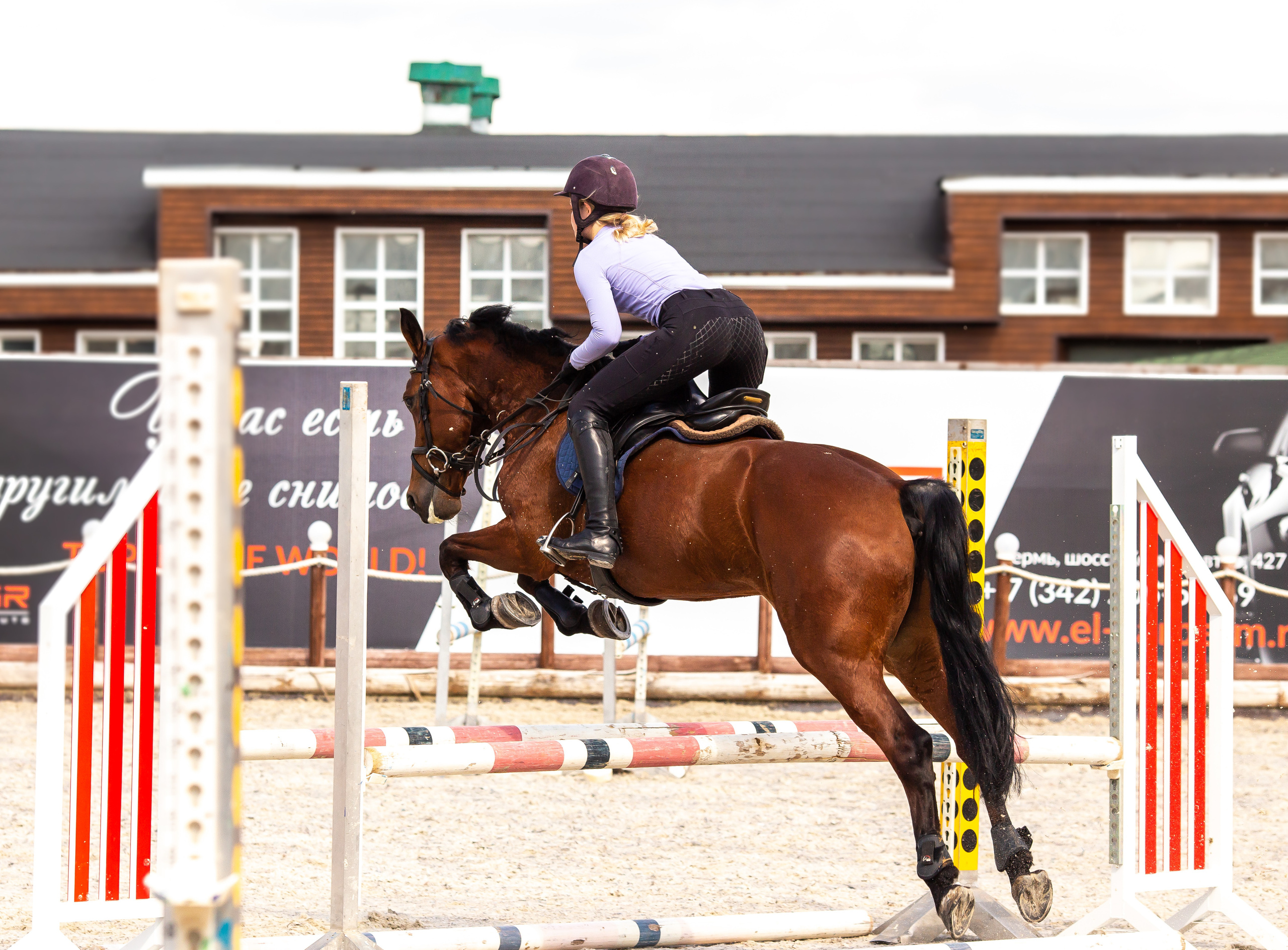 Конное тренировочное. Фотограф Анималист в Перми Анастасия Остерман
