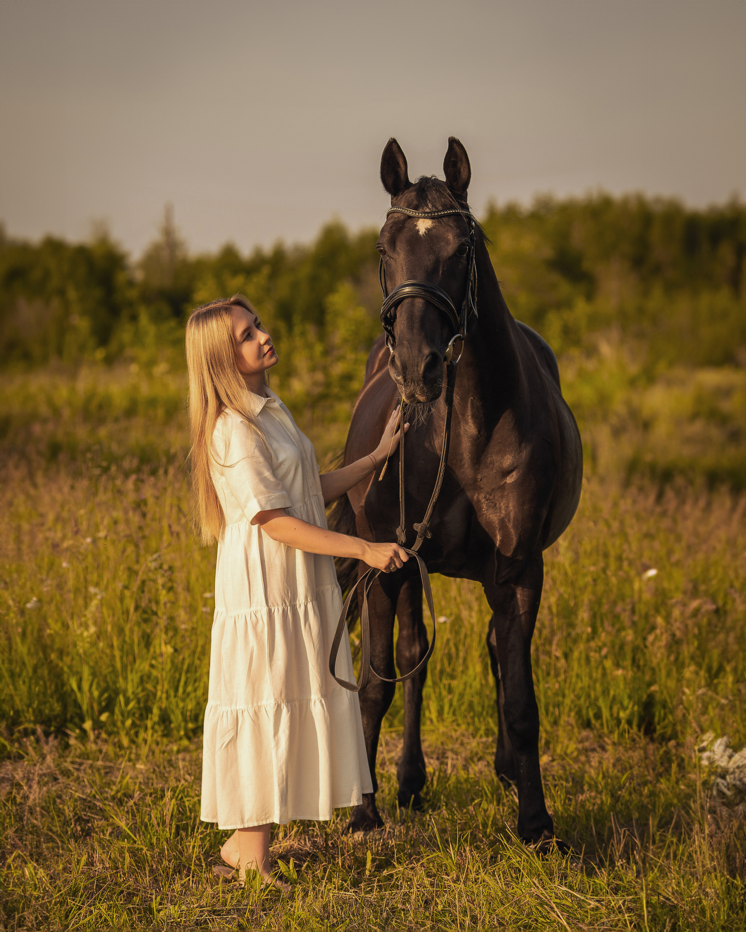 Закат, Вика и Бриз. Фотограф Анималист в Перми Анастасия Остерман