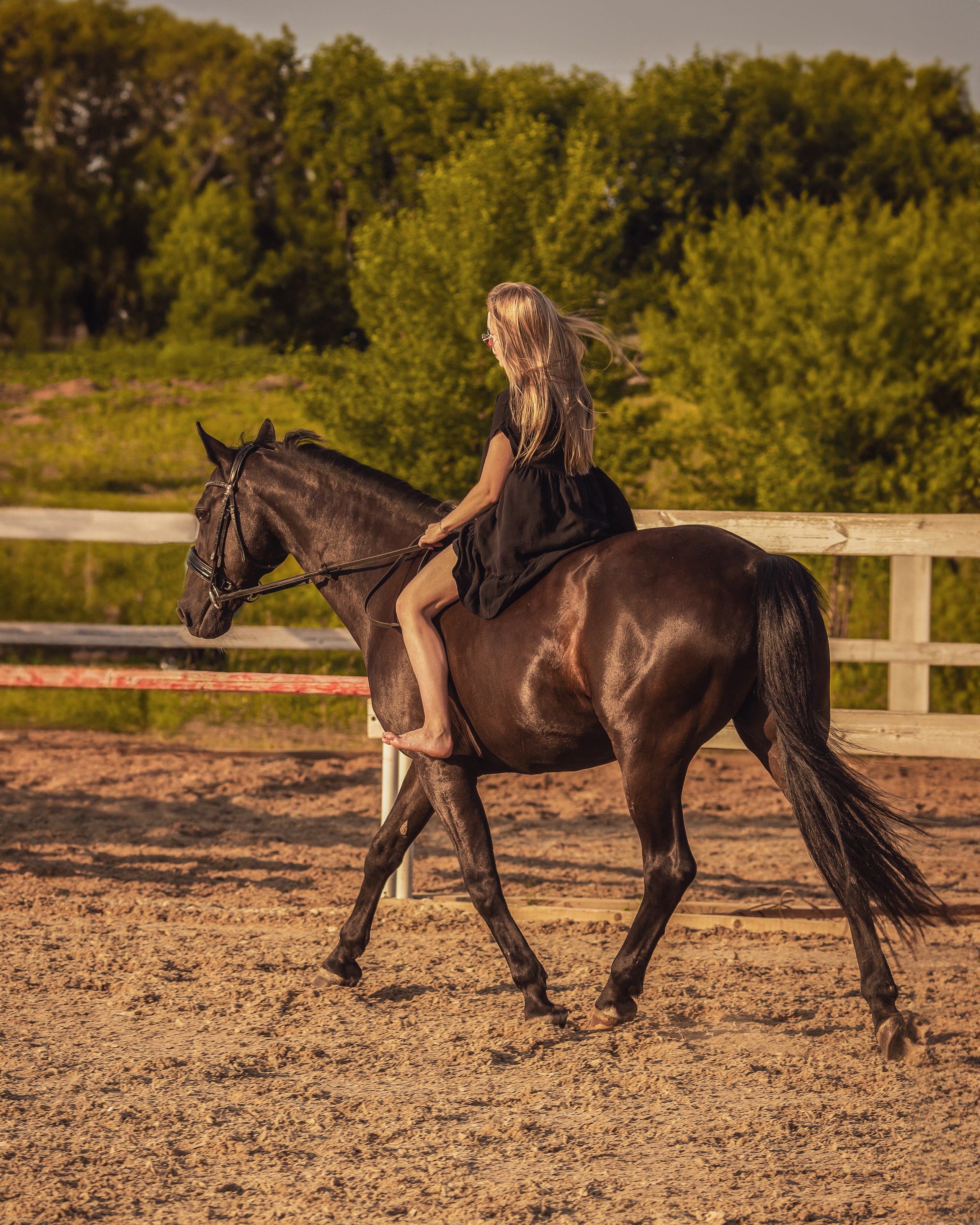 Закат, Вика и Бриз. Фотограф Анималист в Перми Анастасия Остерман