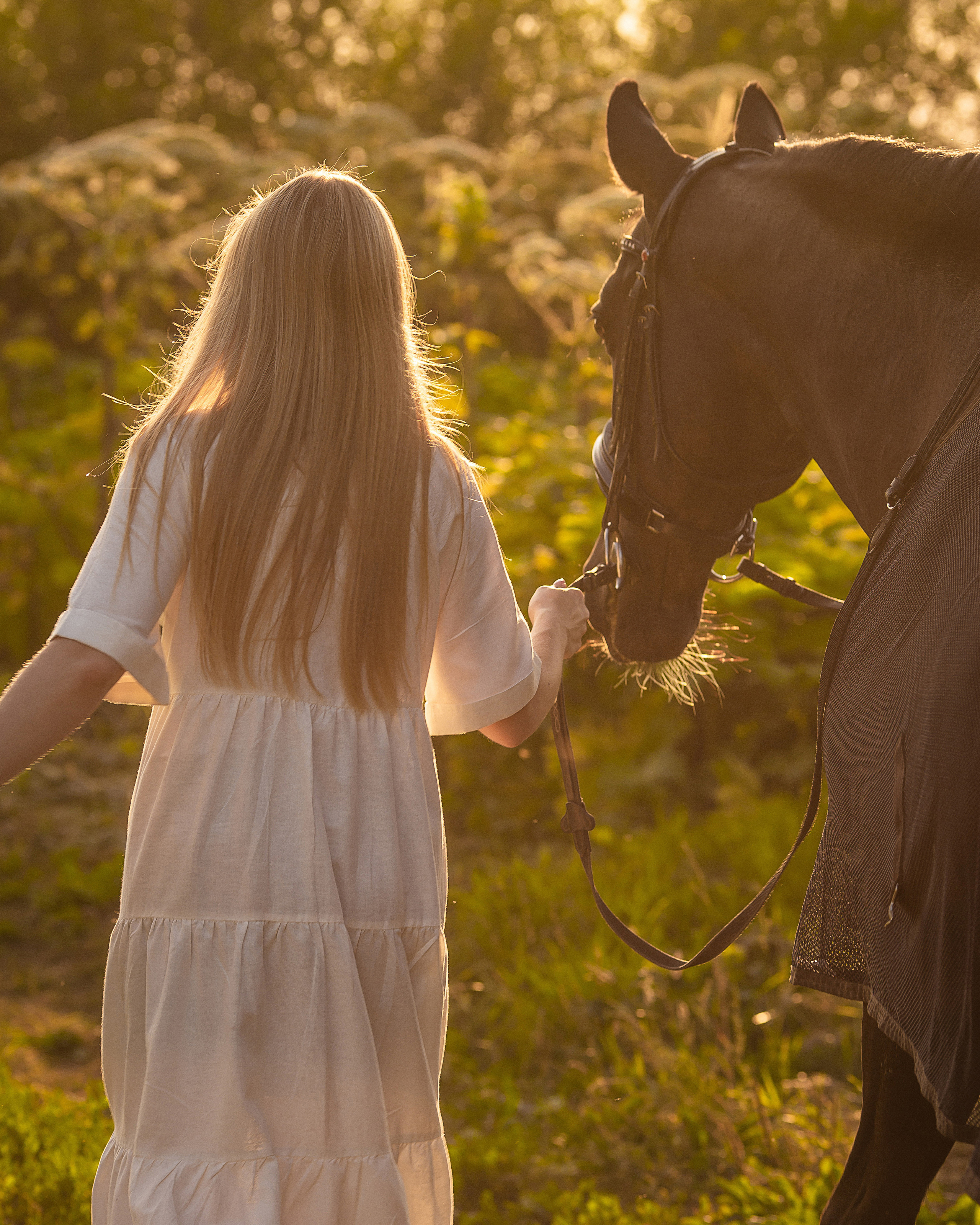 Закат, Вика и Бриз. Фотограф Анималист в Перми Анастасия Остерман