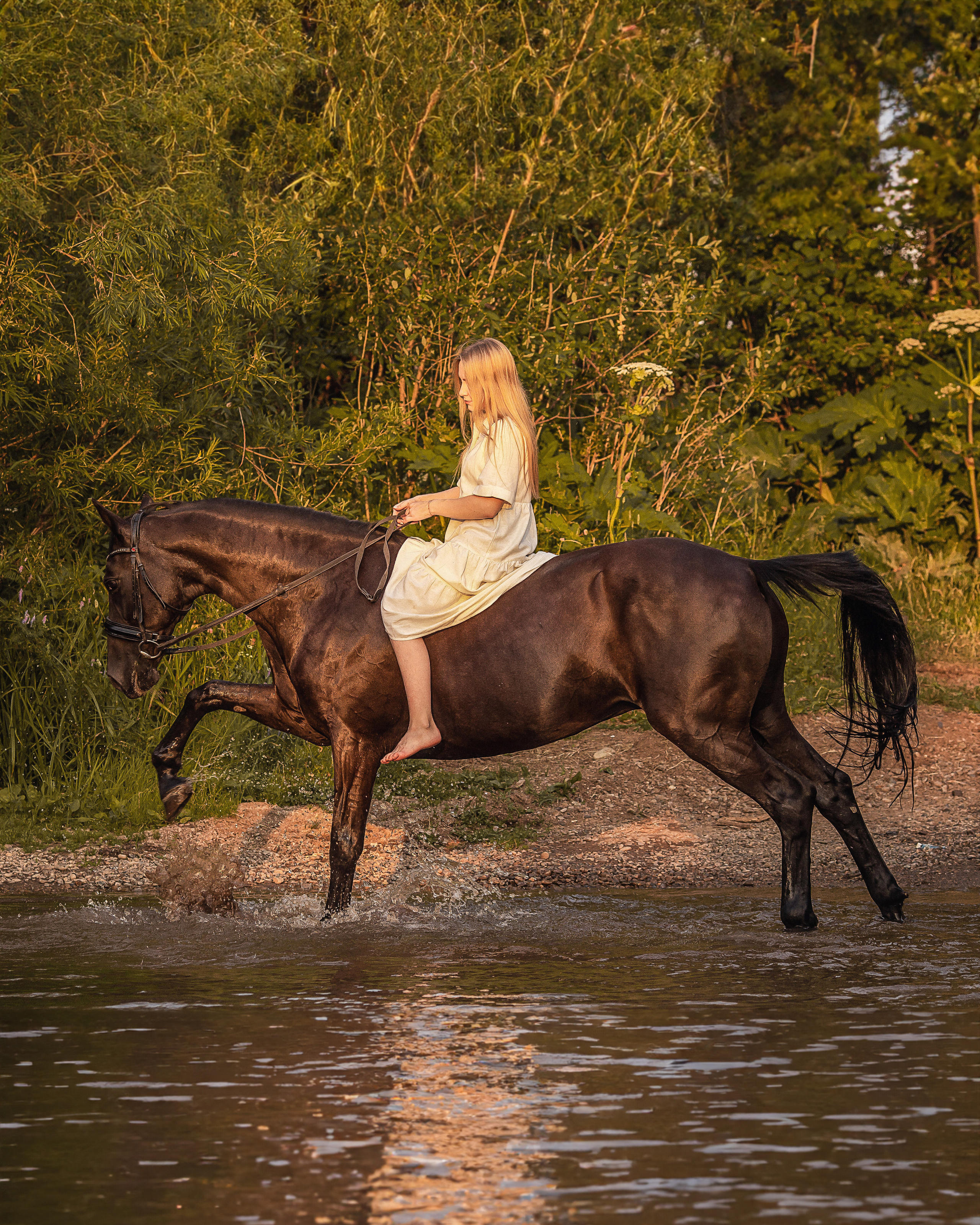 Закат, Вика и Бриз. Фотограф Анималист в Перми Анастасия Остерман