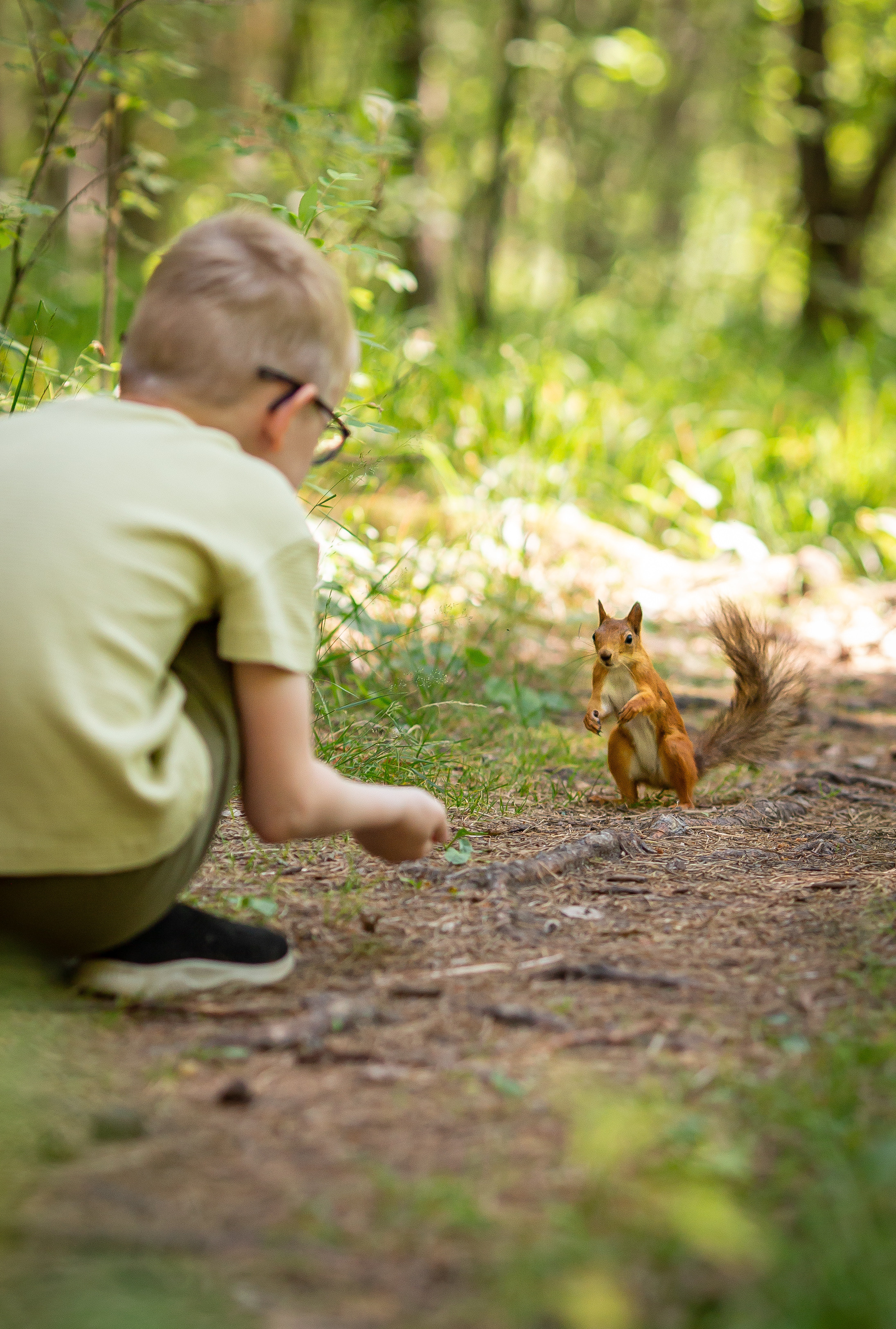 Лесные истории. Фотограф Анималист в Перми Анастасия Остерман