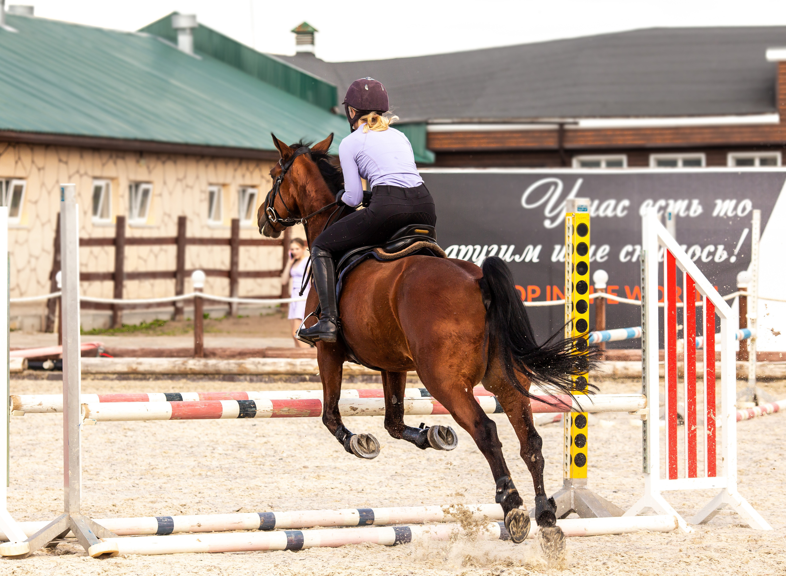 Конное тренировочное. Фотограф Анималист в Перми Анастасия Остерман