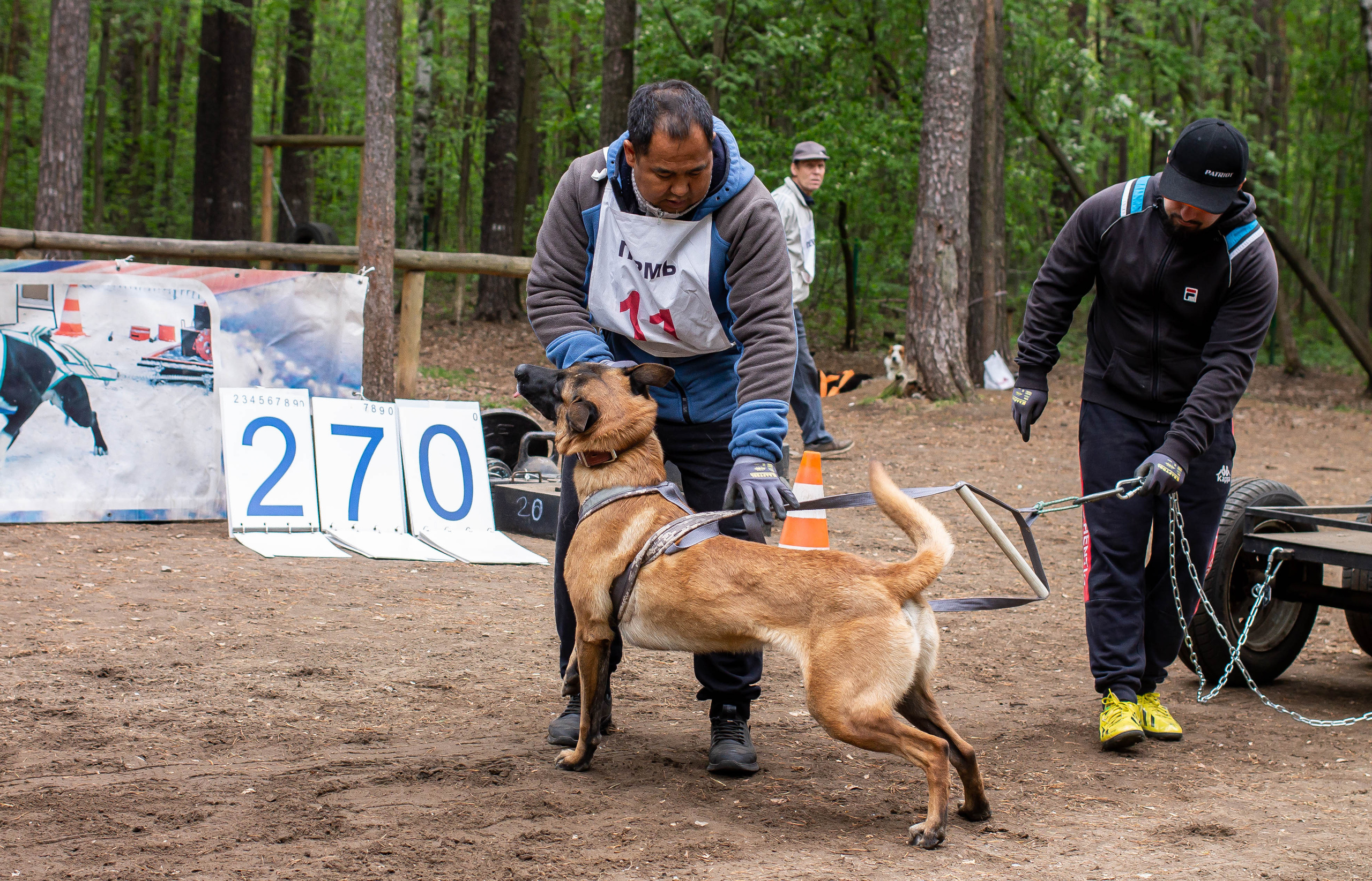 Репортаж вейтпуллинг. Фотограф Анималист в Перми Анастасия Остерман