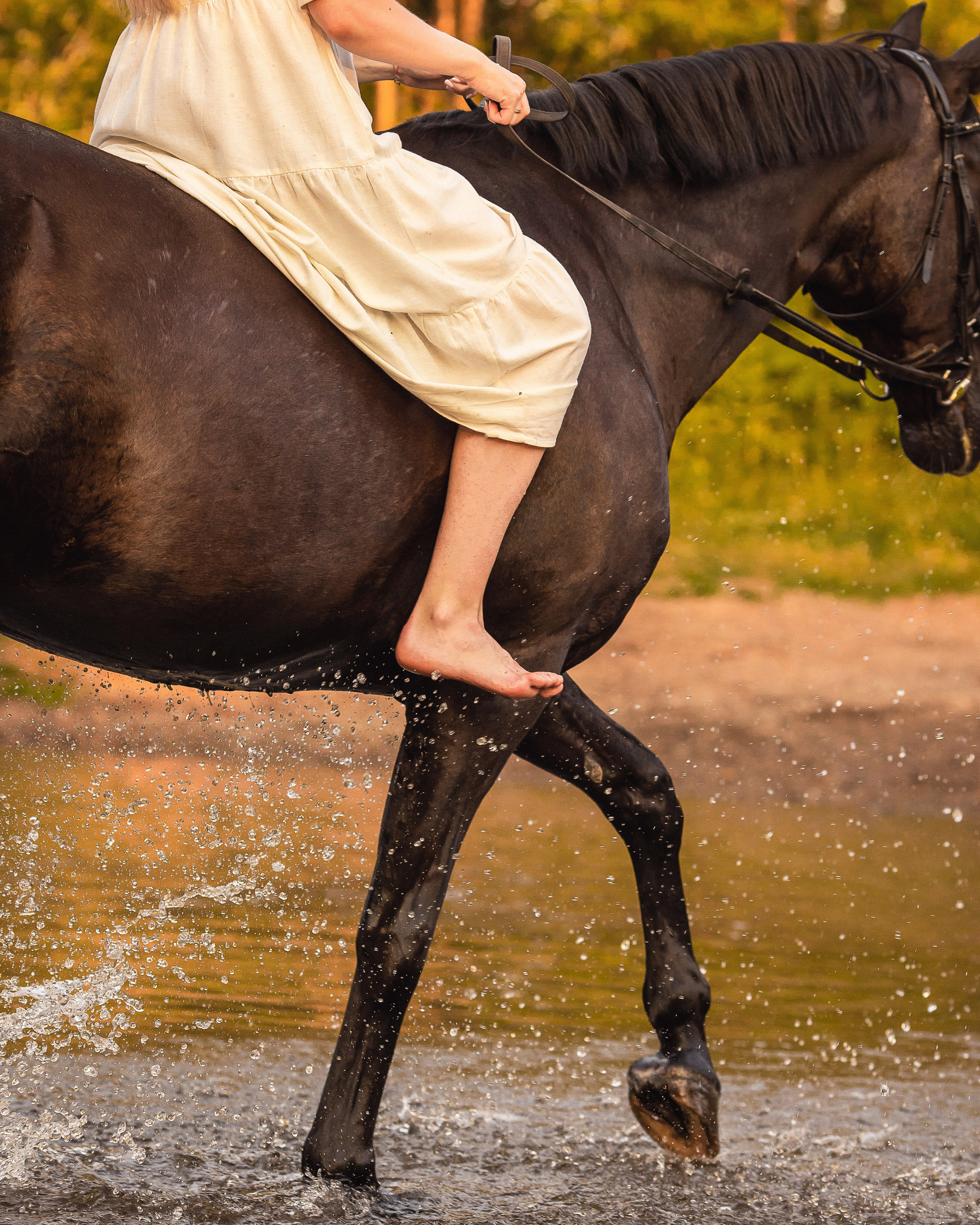 Закат, Вика и Бриз. Фотограф Анималист в Перми Анастасия Остерман