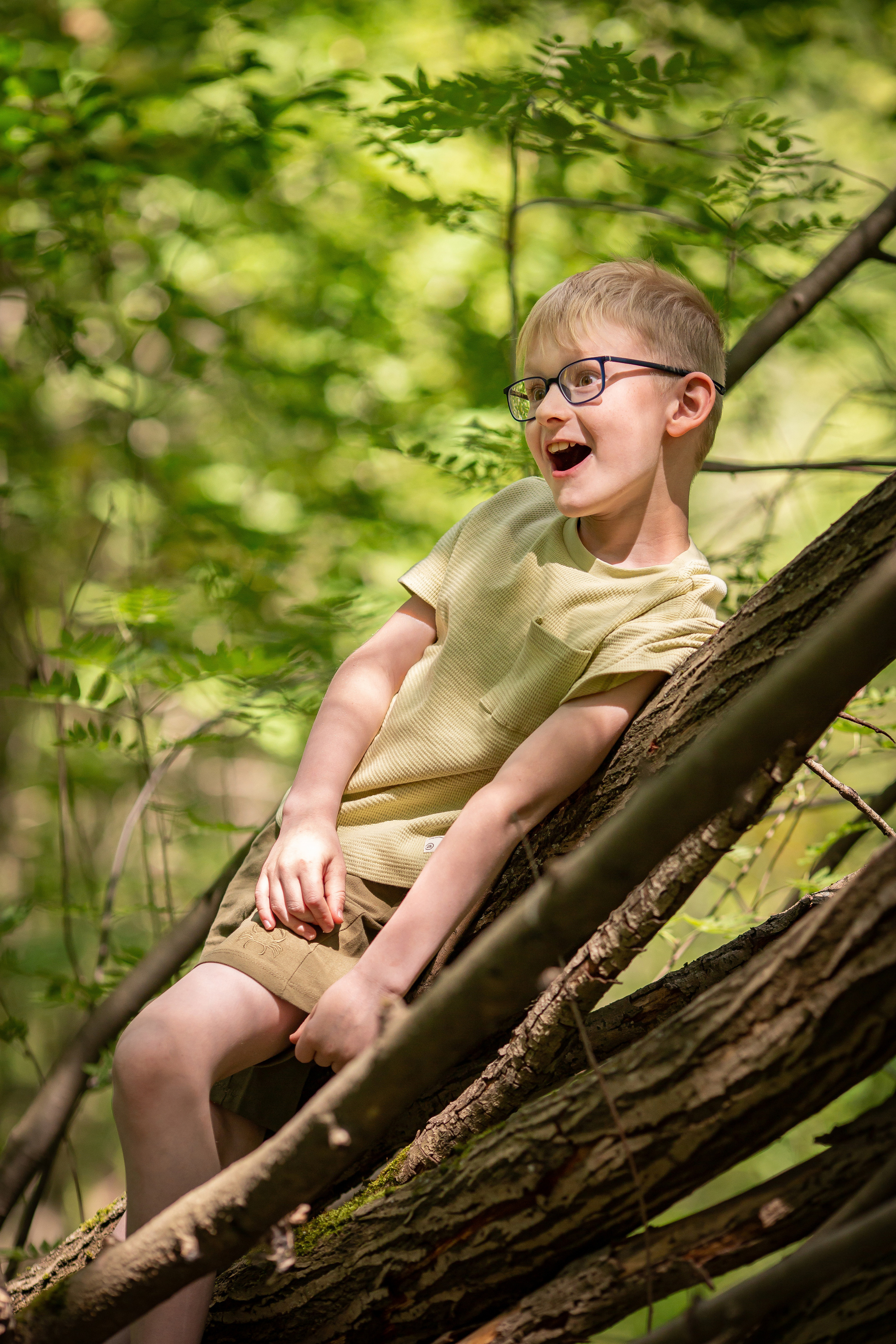 Лесные истории. Фотограф Анималист в Перми Анастасия Остерман