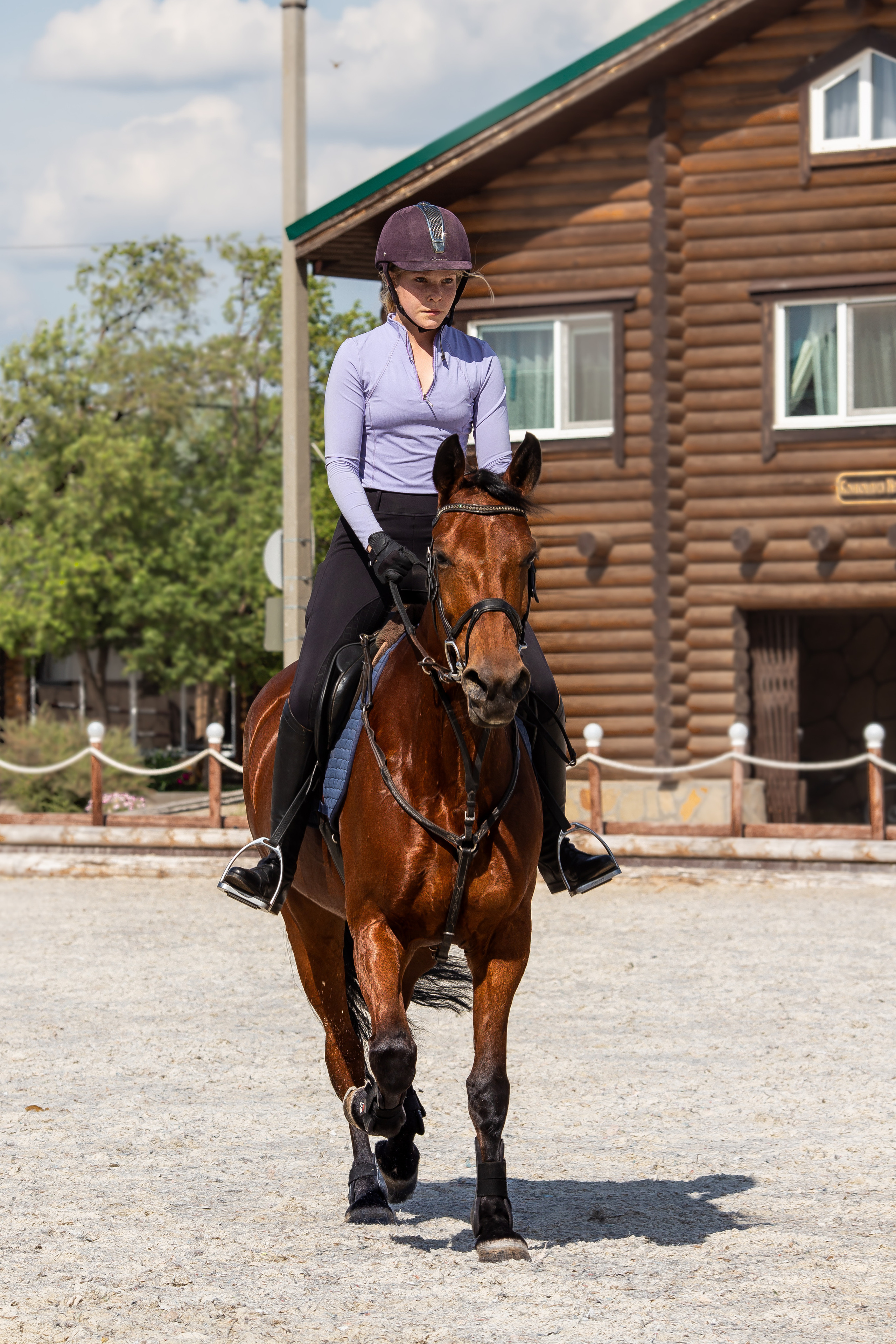 Конное тренировочное. Фотограф Анималист в Перми Анастасия Остерман