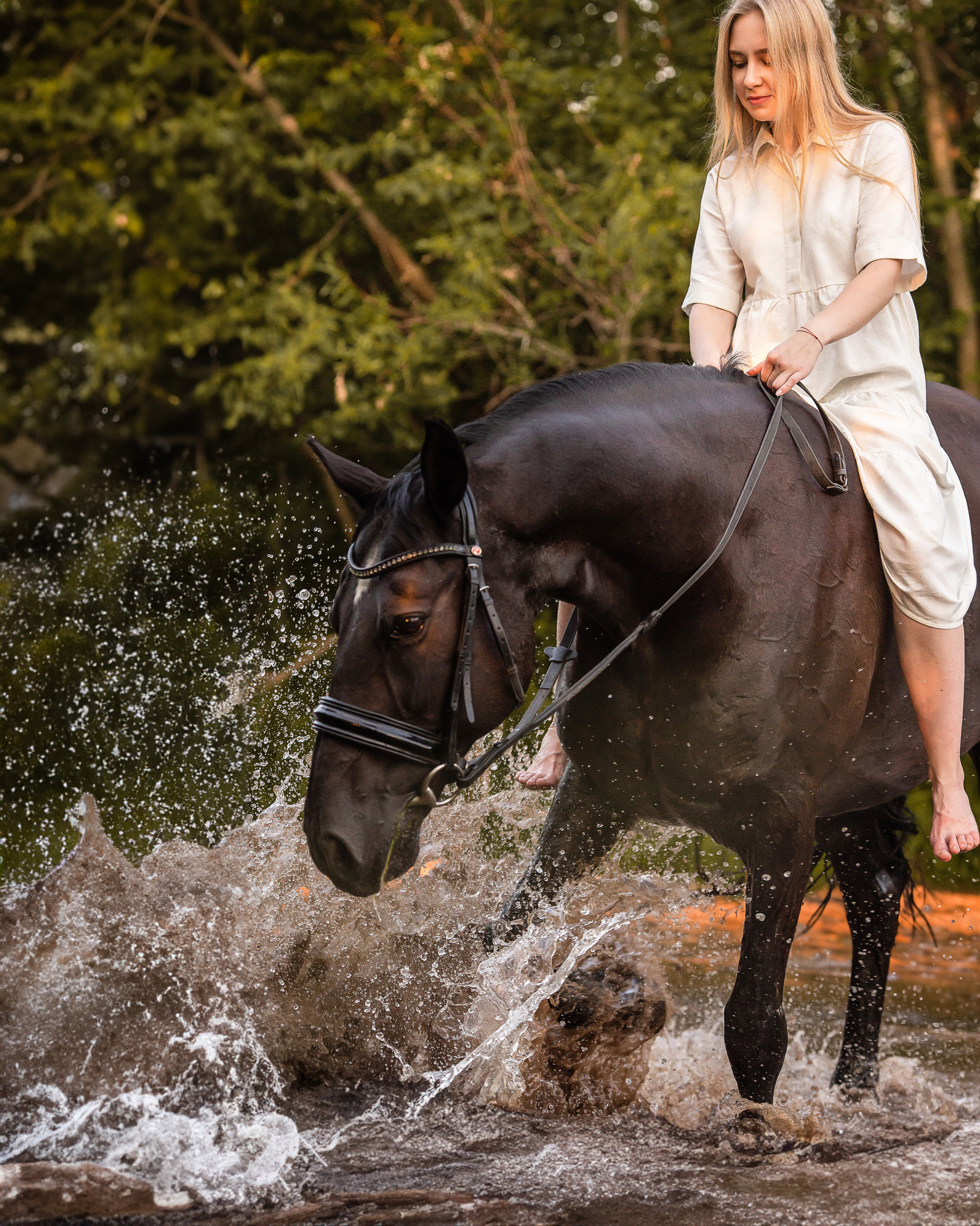 Закат, Вика и Бриз. Фотограф Анималист в Перми Анастасия Остерман