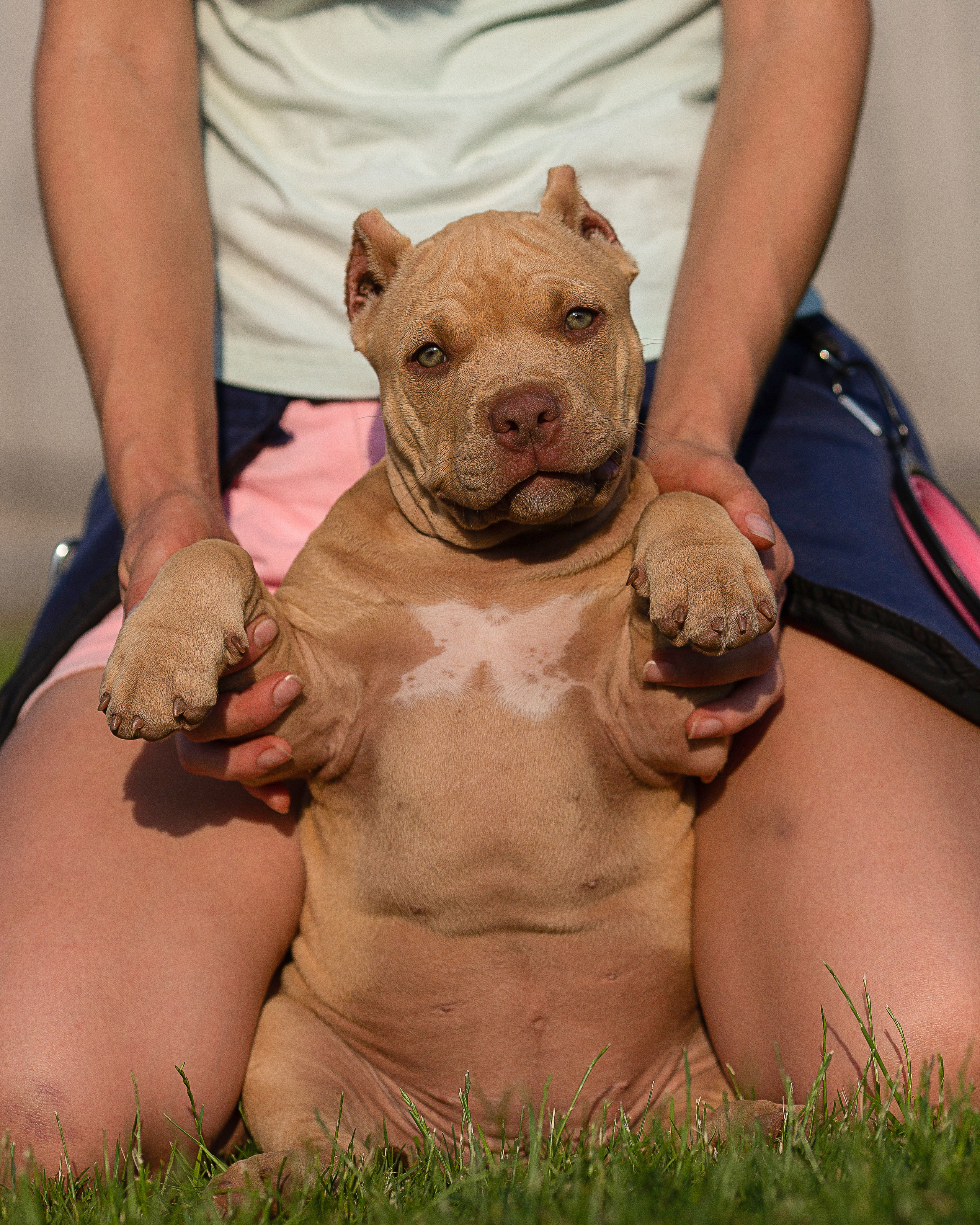 Булляшики. Фотограф Анималист в Перми Анастасия Остерман