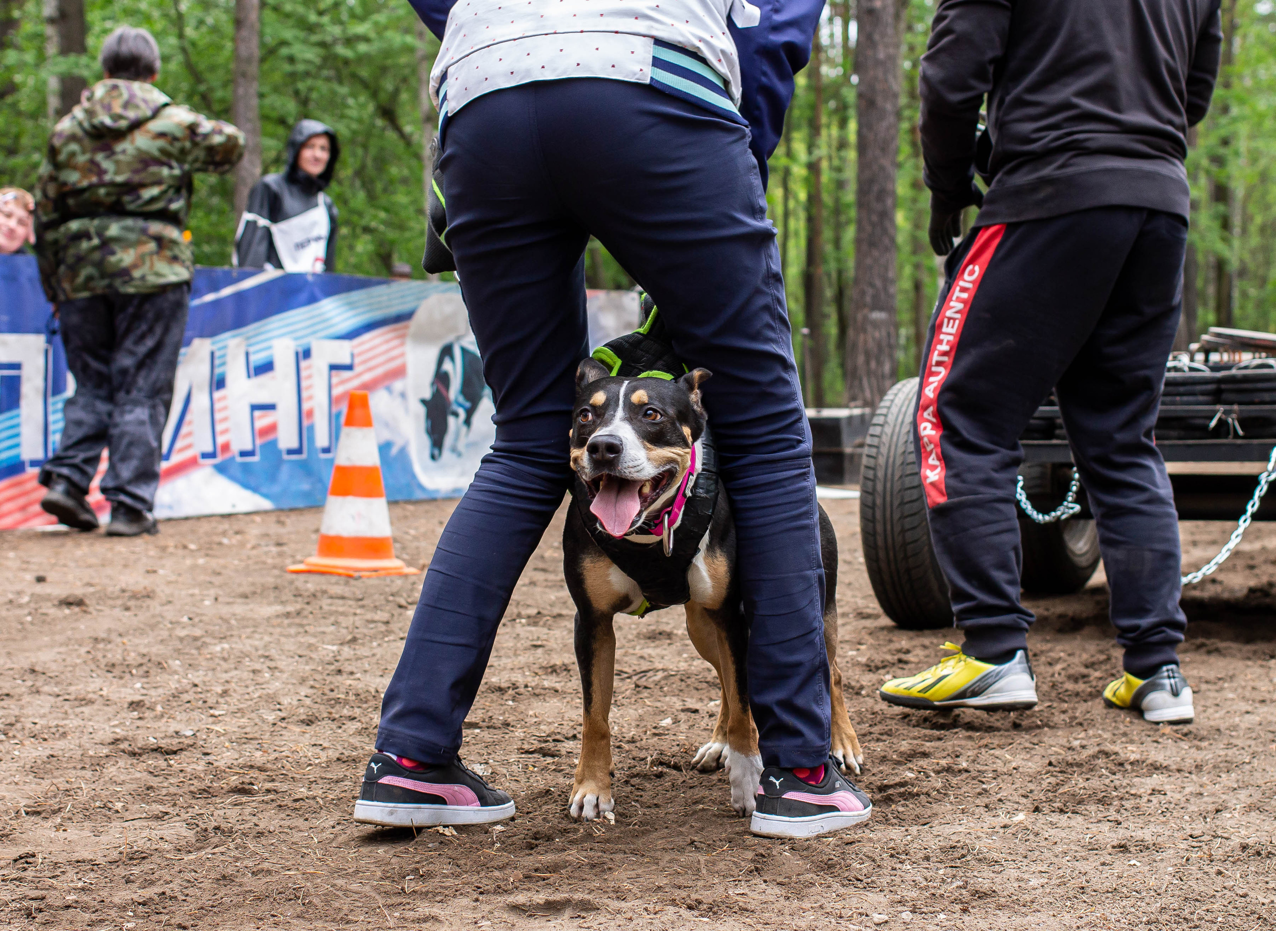 Репортаж вейтпуллинг. Фотограф Анималист в Перми Анастасия Остерман
