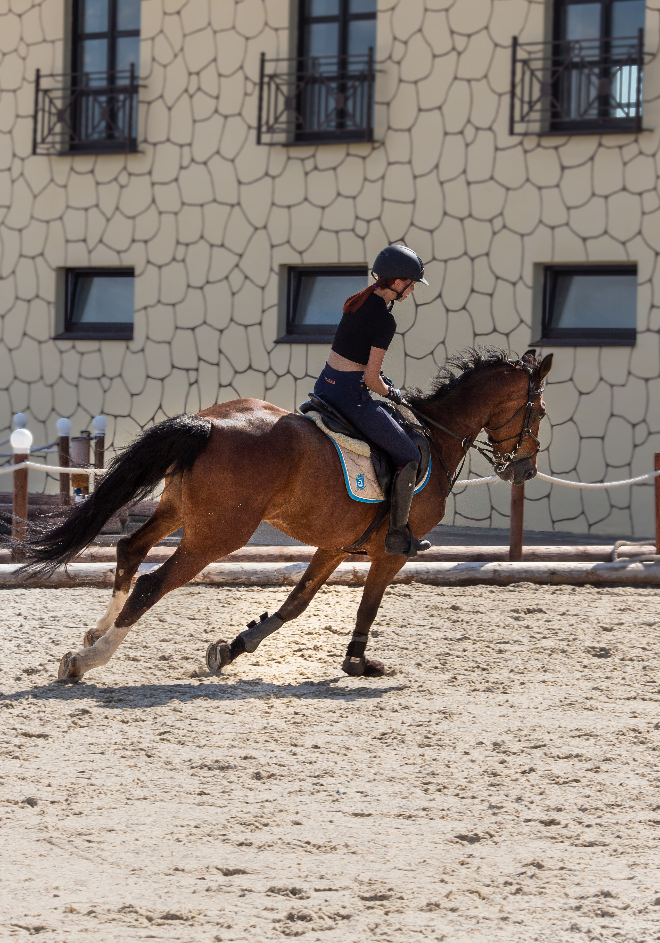 Конное тренировочное. Фотограф Анималист в Перми Анастасия Остерман