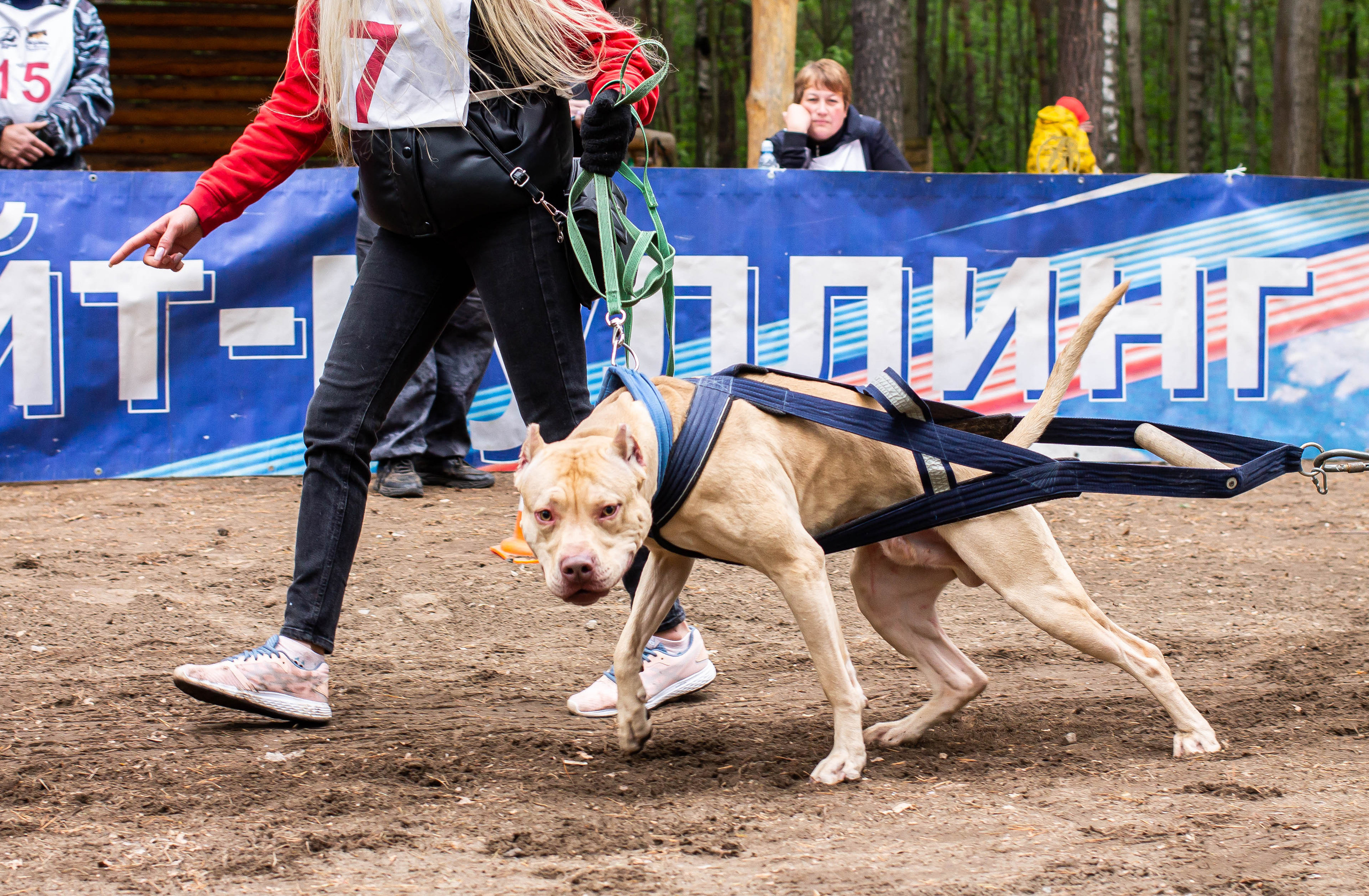 Репортаж вейтпуллинг. Фотограф Анималист в Перми Анастасия Остерман