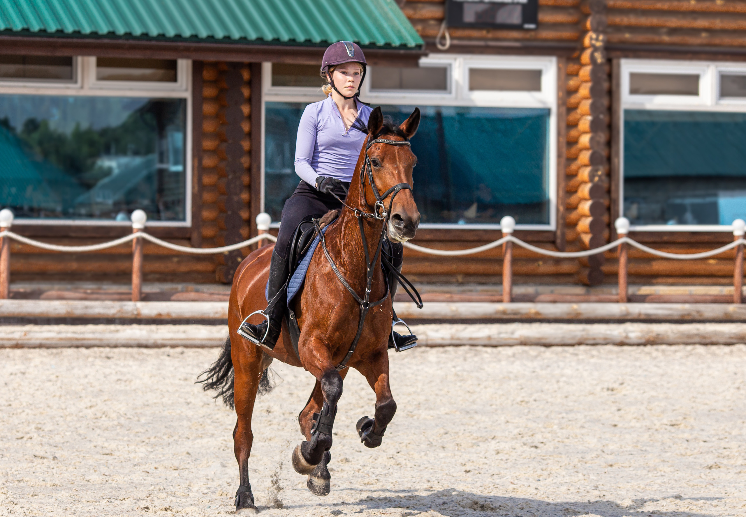 Конное тренировочное. Фотограф Анималист в Перми Анастасия Остерман