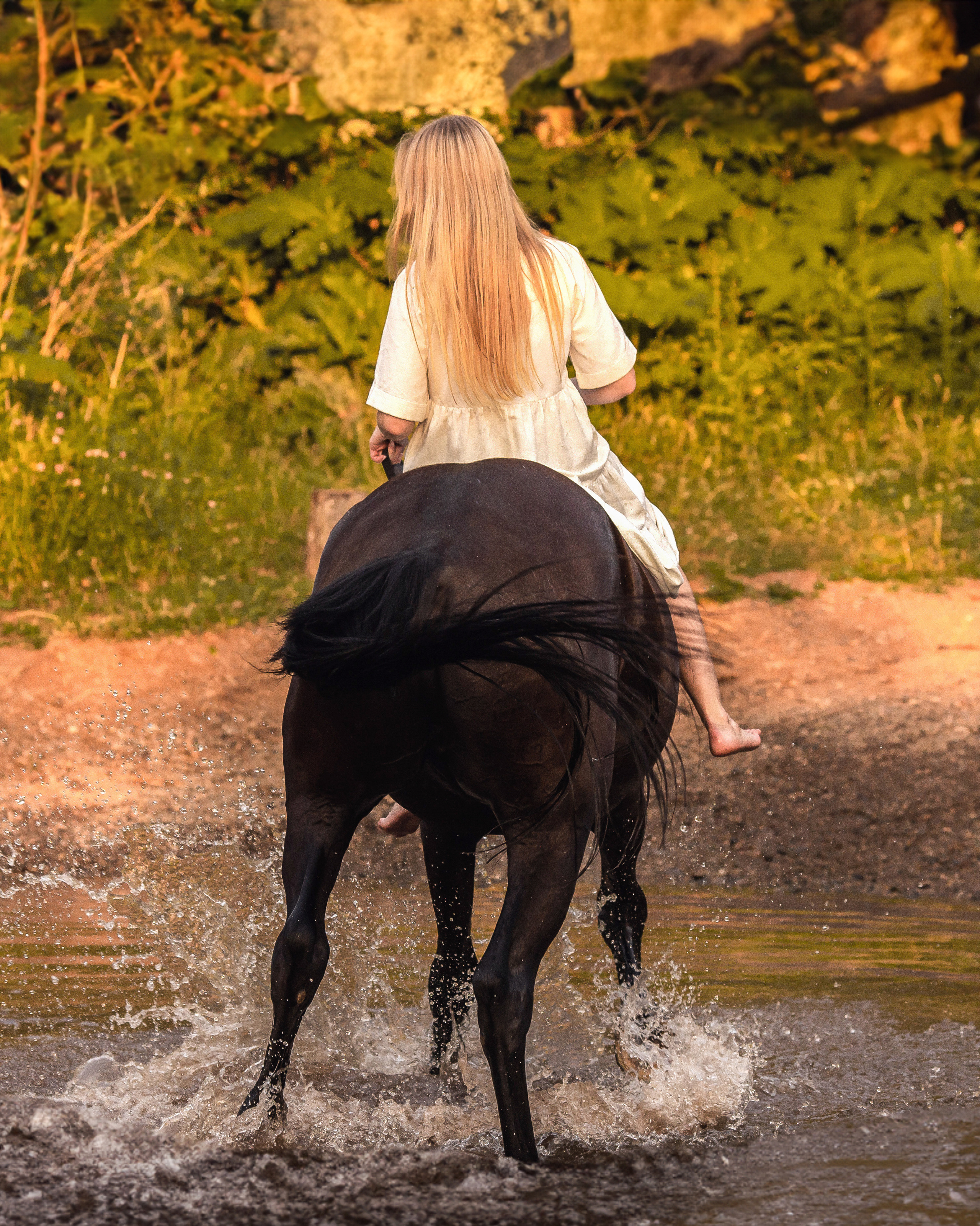 Закат, Вика и Бриз. Фотограф Анималист в Перми Анастасия Остерман
