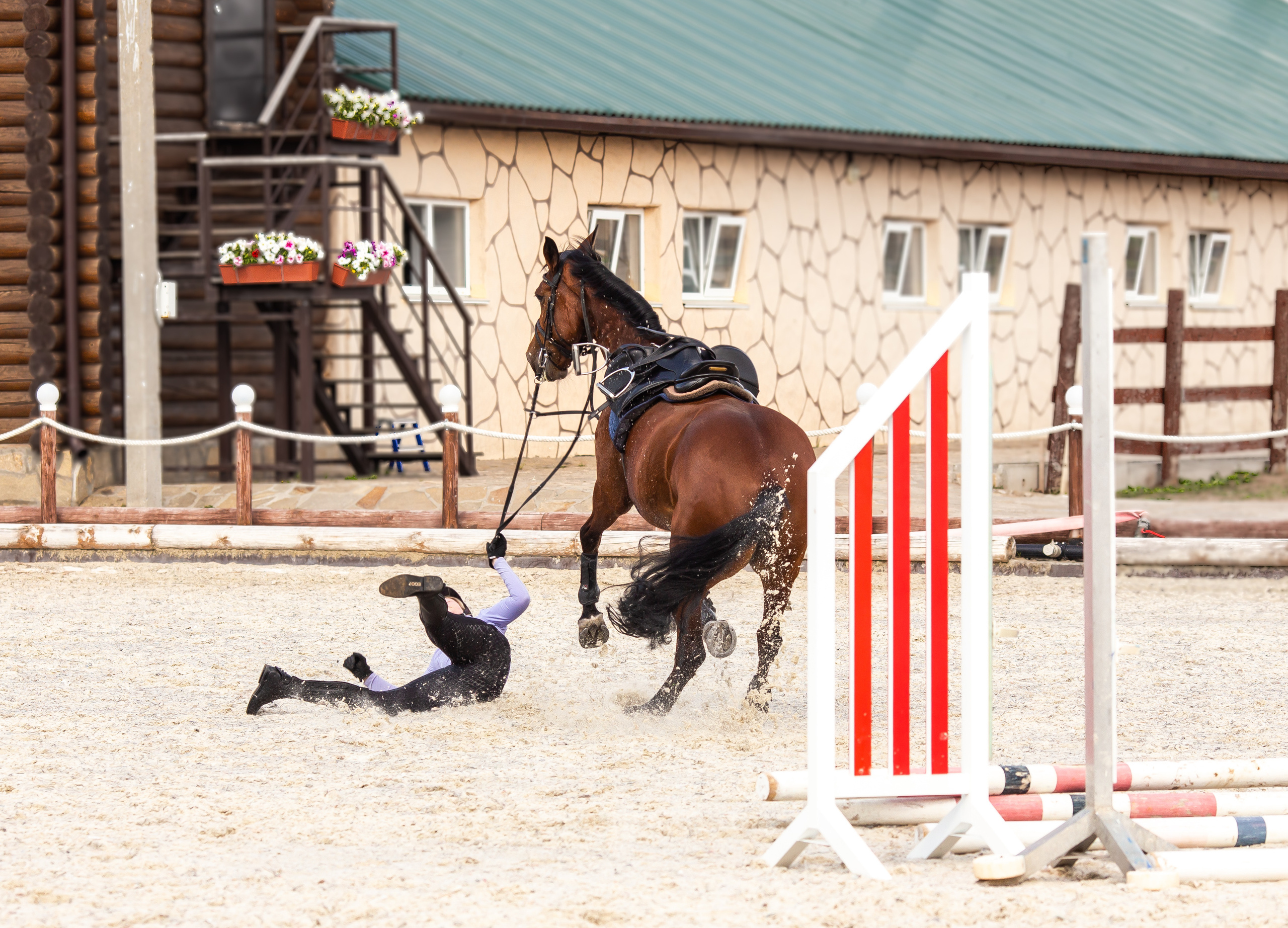 Конное тренировочное. Фотограф Анималист в Перми Анастасия Остерман