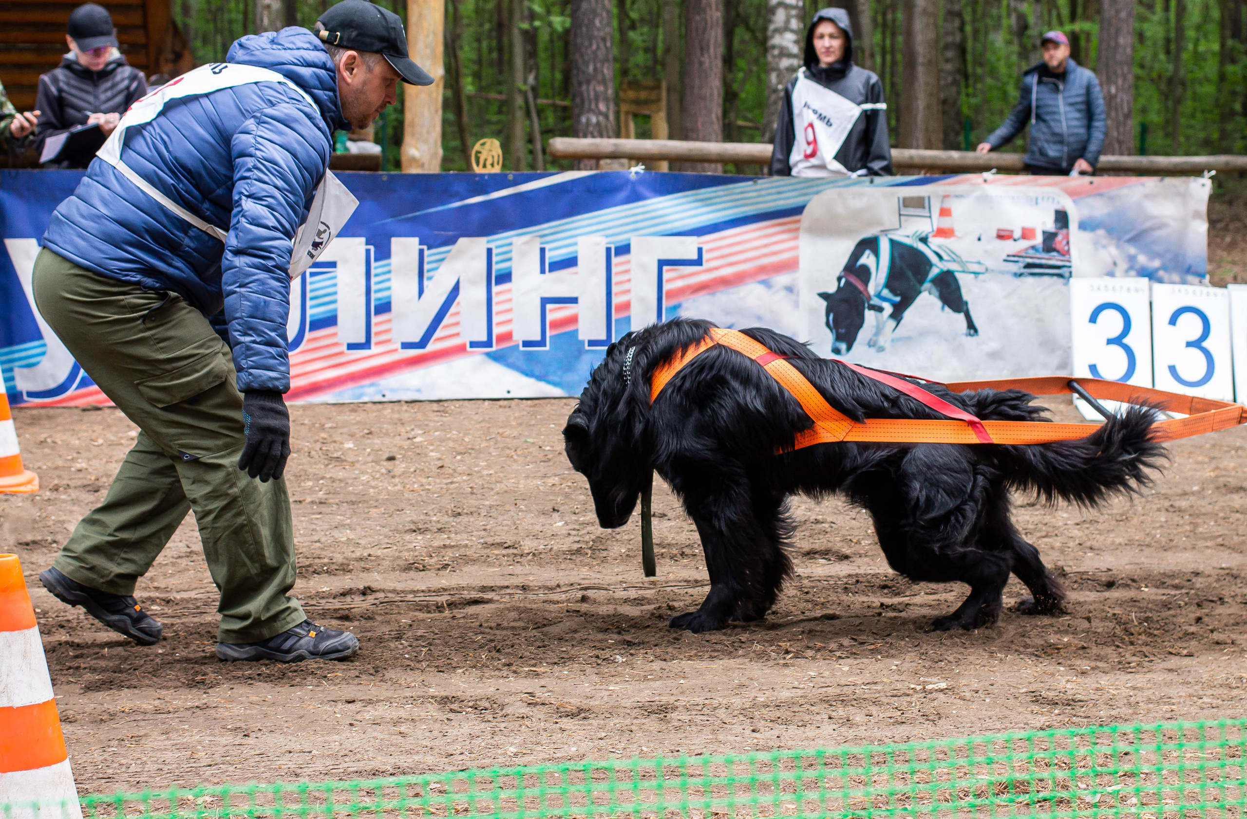 Репортаж вейтпуллинг. Фотограф Анималист в Перми Анастасия Остерман