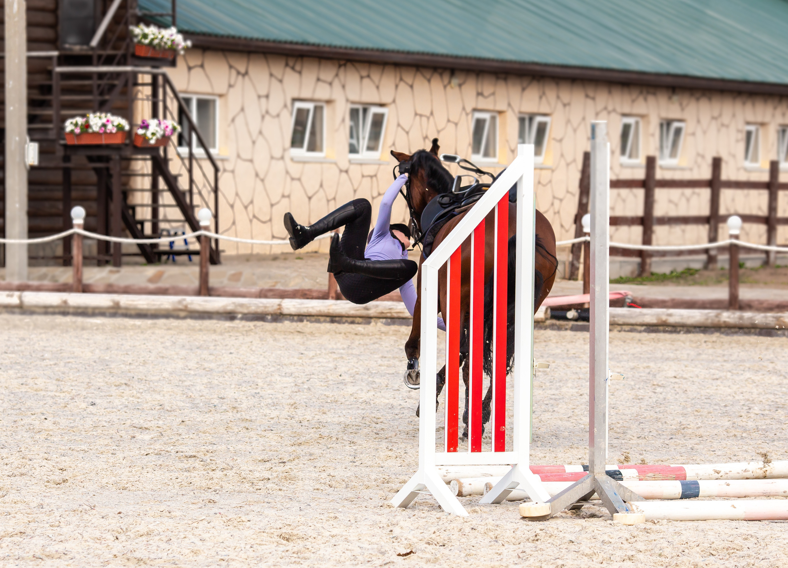 Конное тренировочное. Фотограф Анималист в Перми Анастасия Остерман