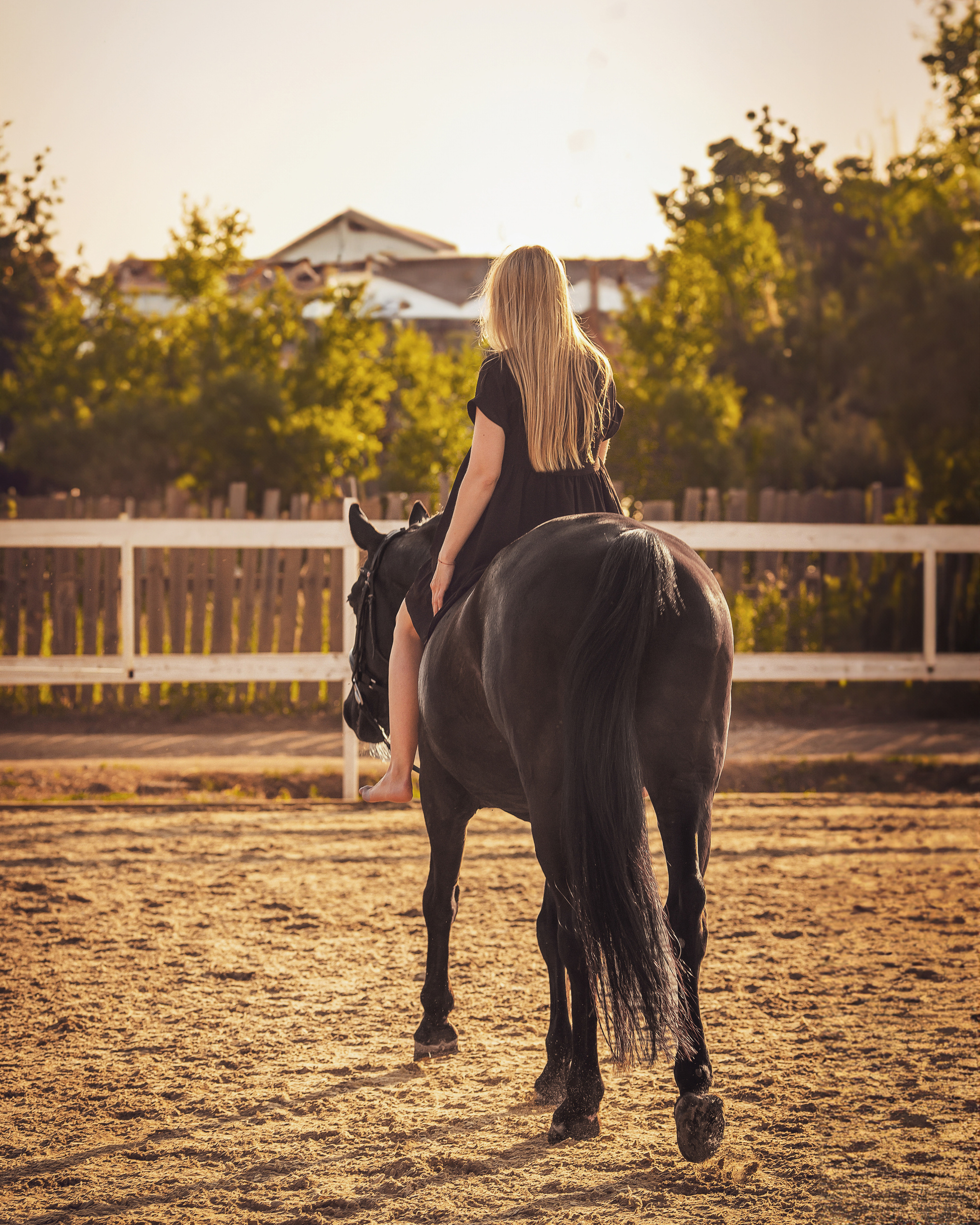 Закат, Вика и Бриз. Фотограф Анималист в Перми Анастасия Остерман