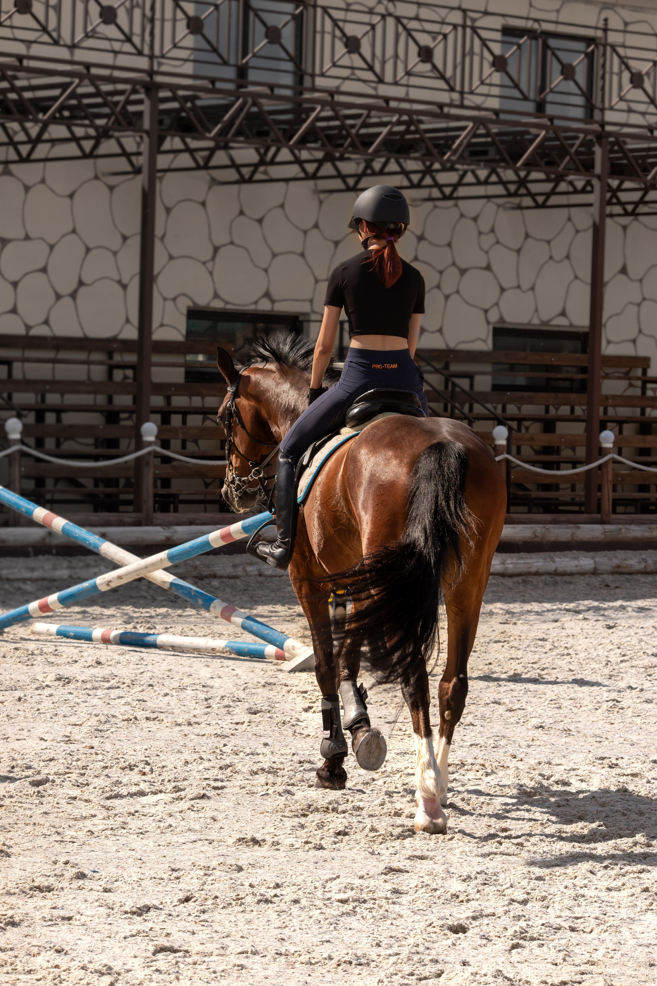 Конное тренировочное. Фотограф Анималист в Перми Анастасия Остерман