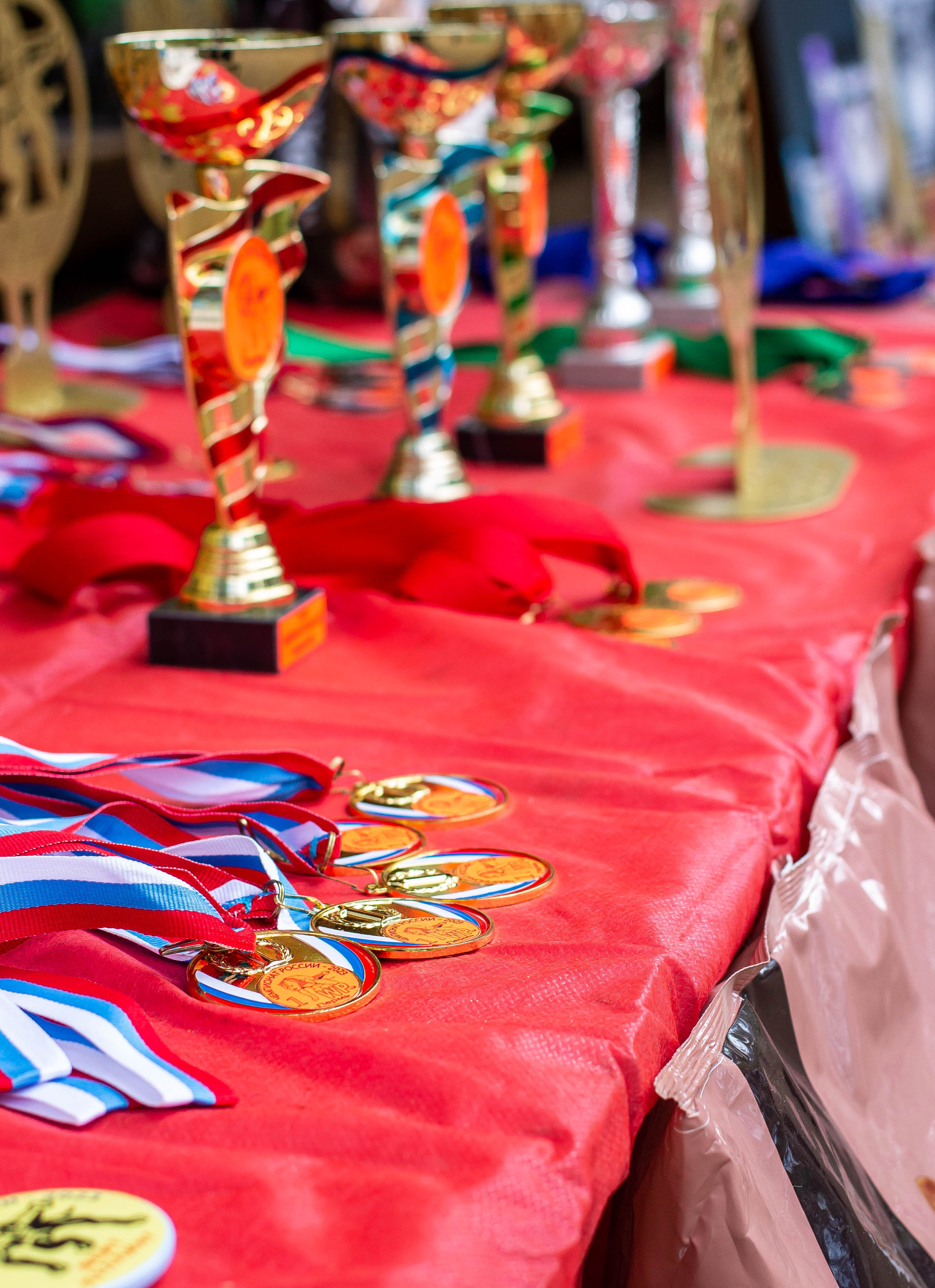 Репортаж вейтпуллинг. Фотограф Анималист в Перми Анастасия Остерман