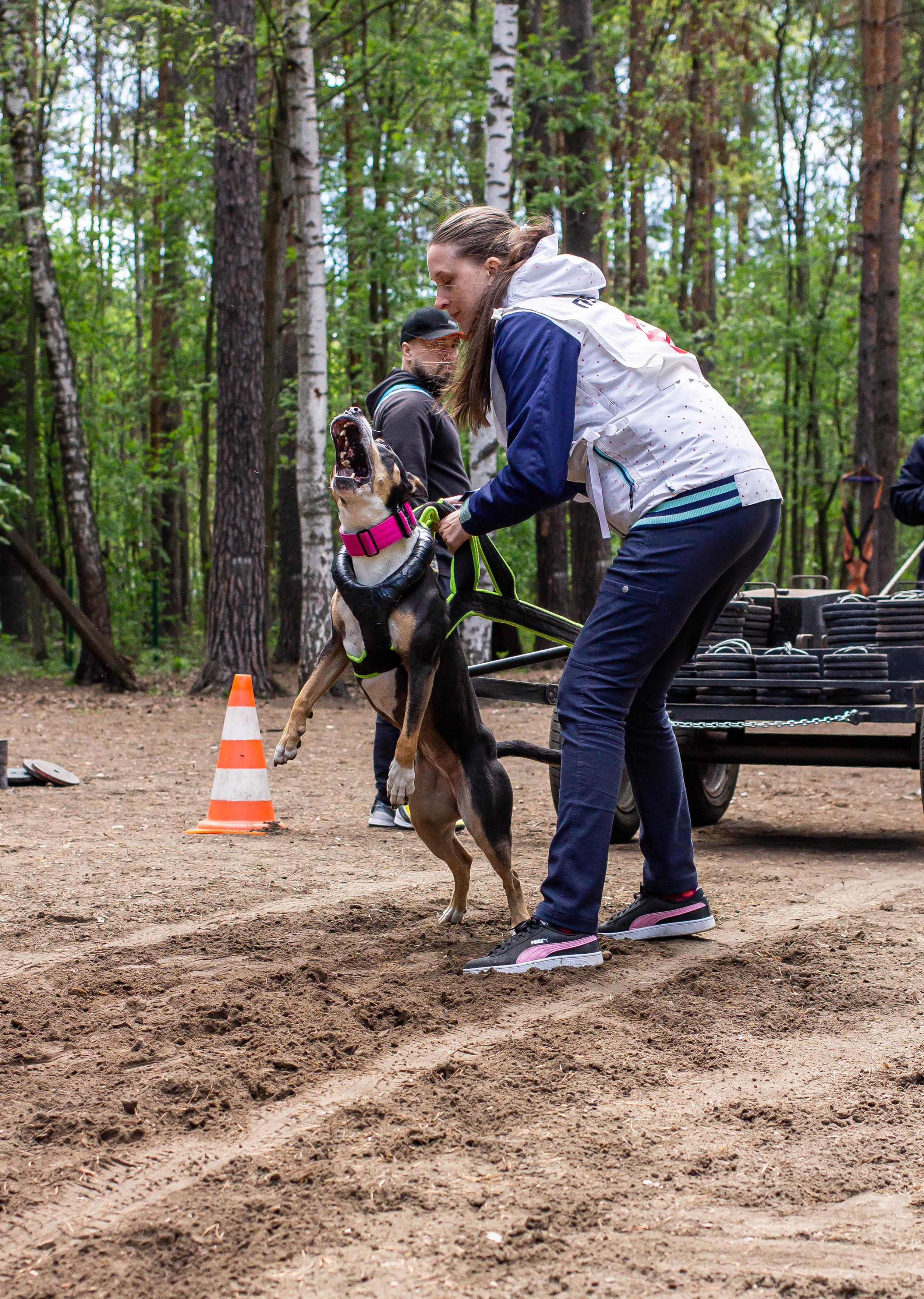 Репортаж вейтпуллинг. Фотограф Анималист в Перми Анастасия Остерман