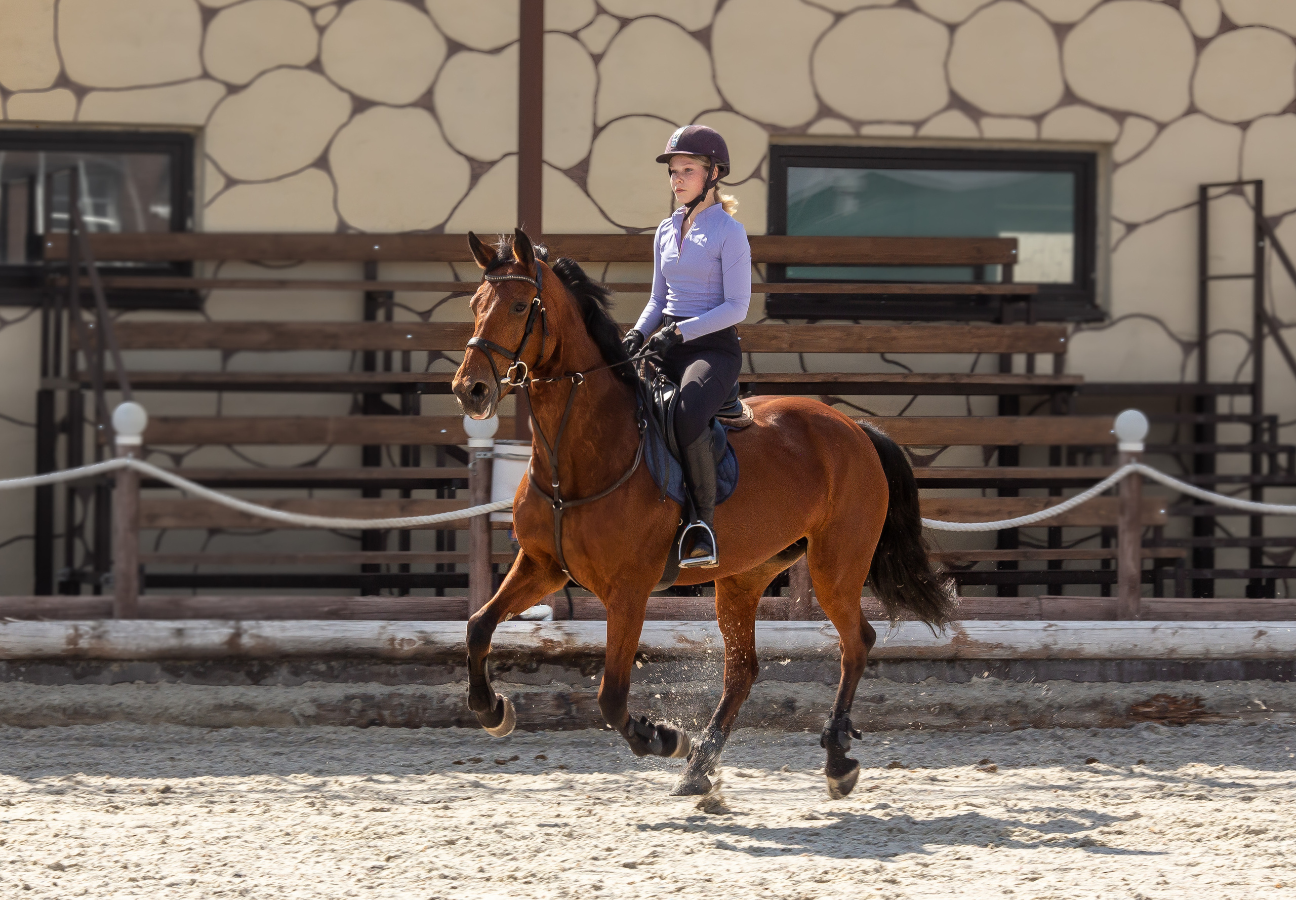 Конное тренировочное. Фотограф Анималист в Перми Анастасия Остерман
