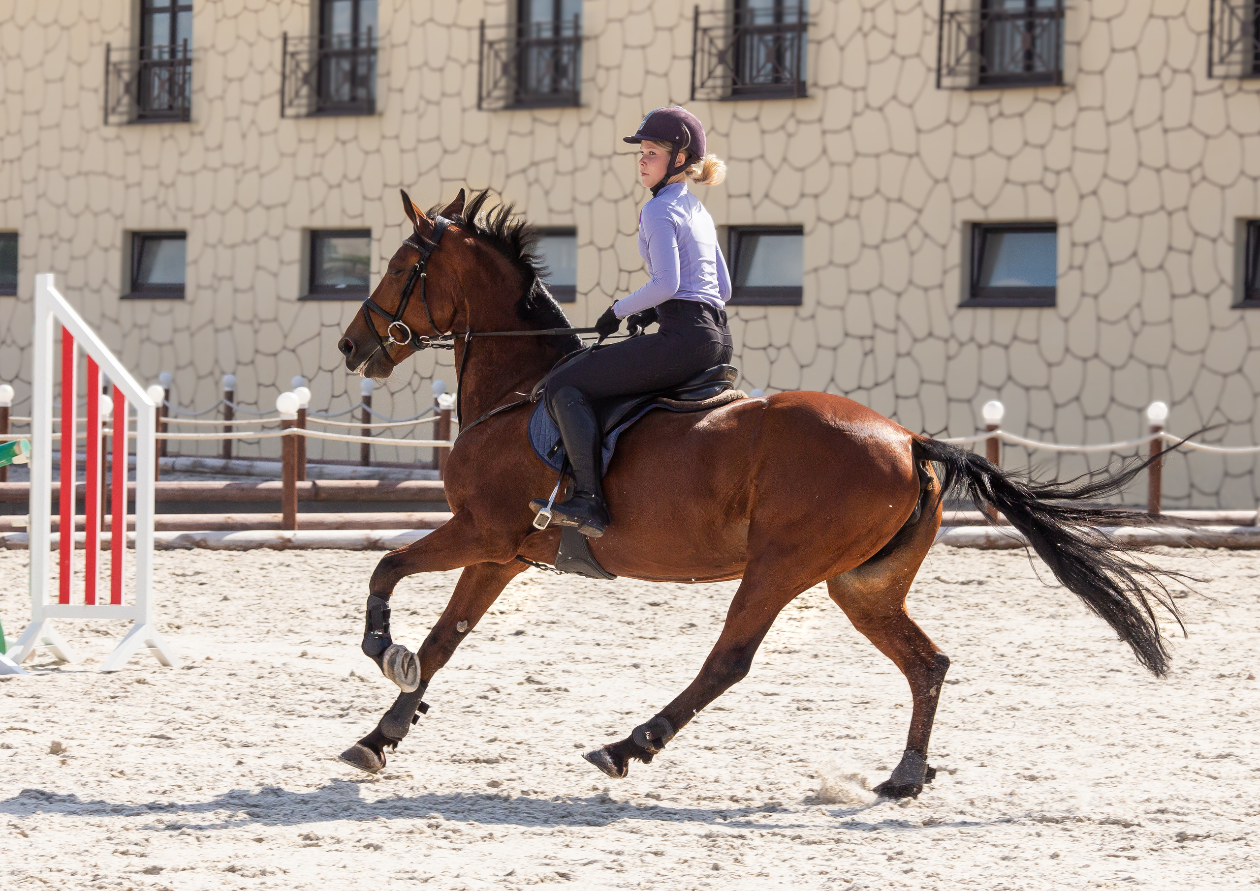 Конное тренировочное. Фотограф Анималист в Перми Анастасия Остерман